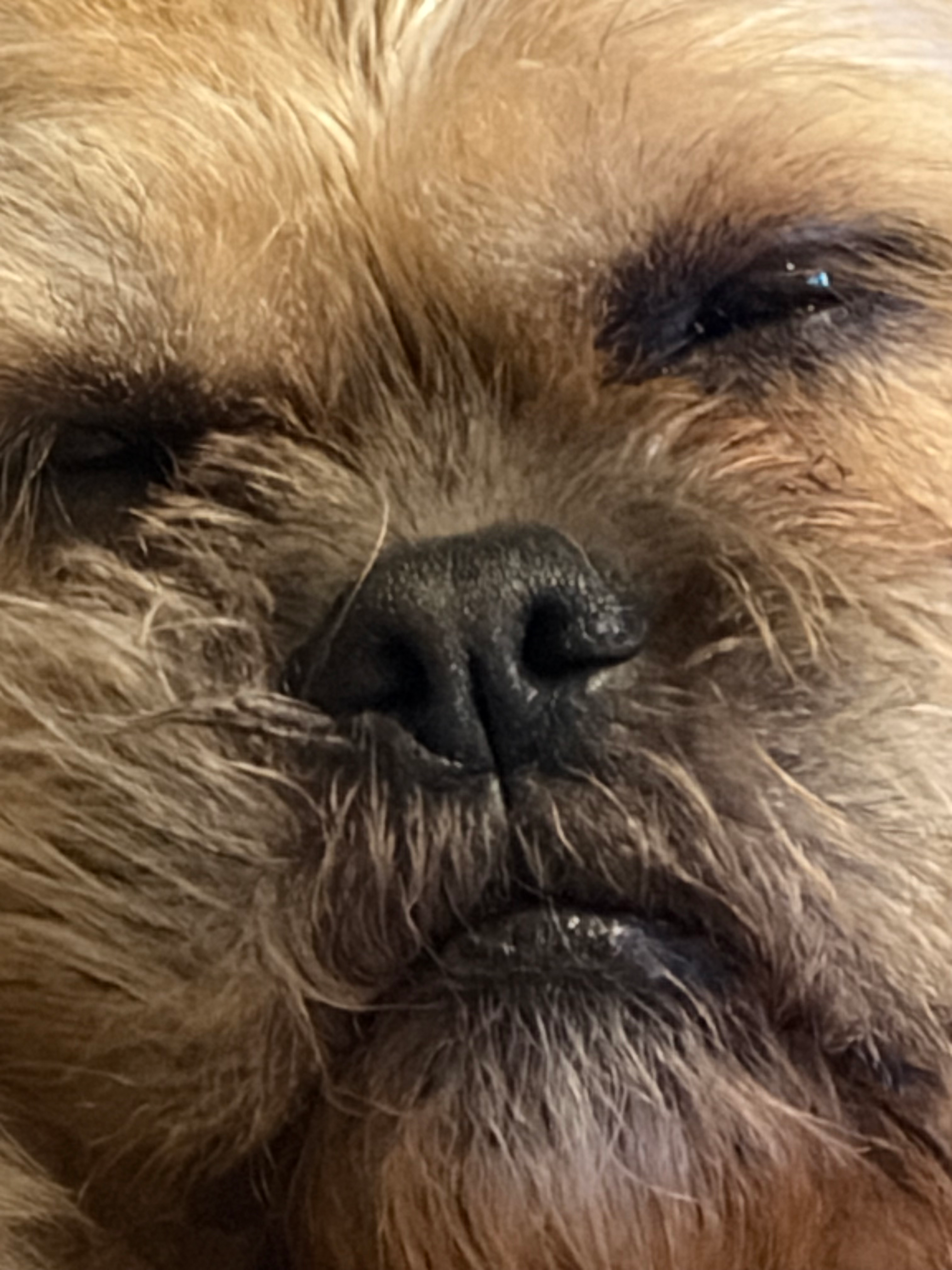 user avatar image for Chelsea