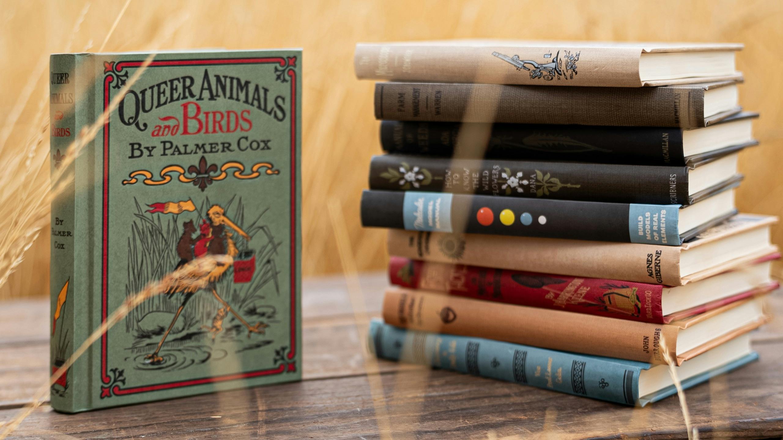 The Curious Volumes