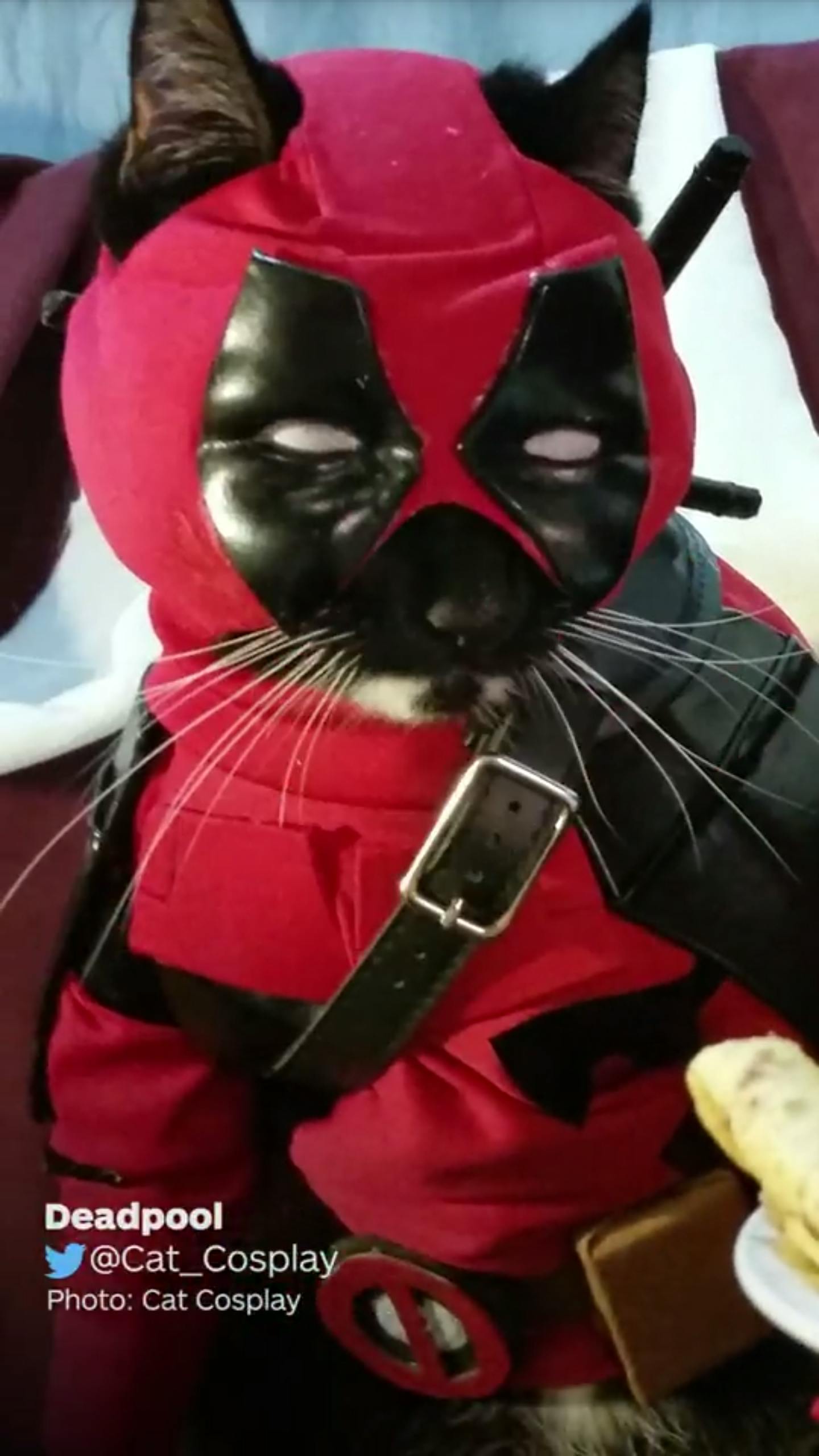 user avatar image for marcusseg