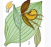 user avatar image for LadyoftheForest