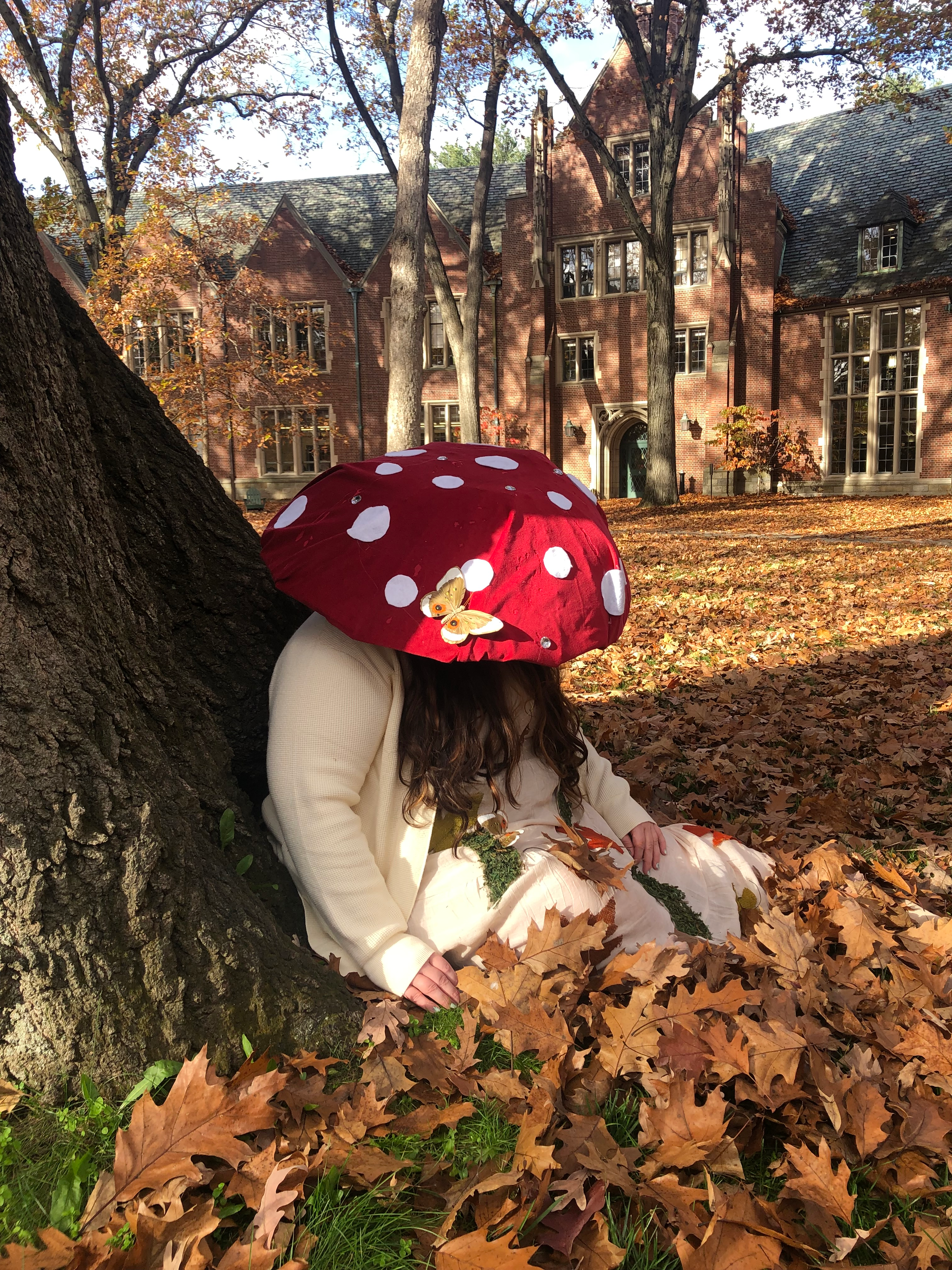 user avatar image for Brittany Le