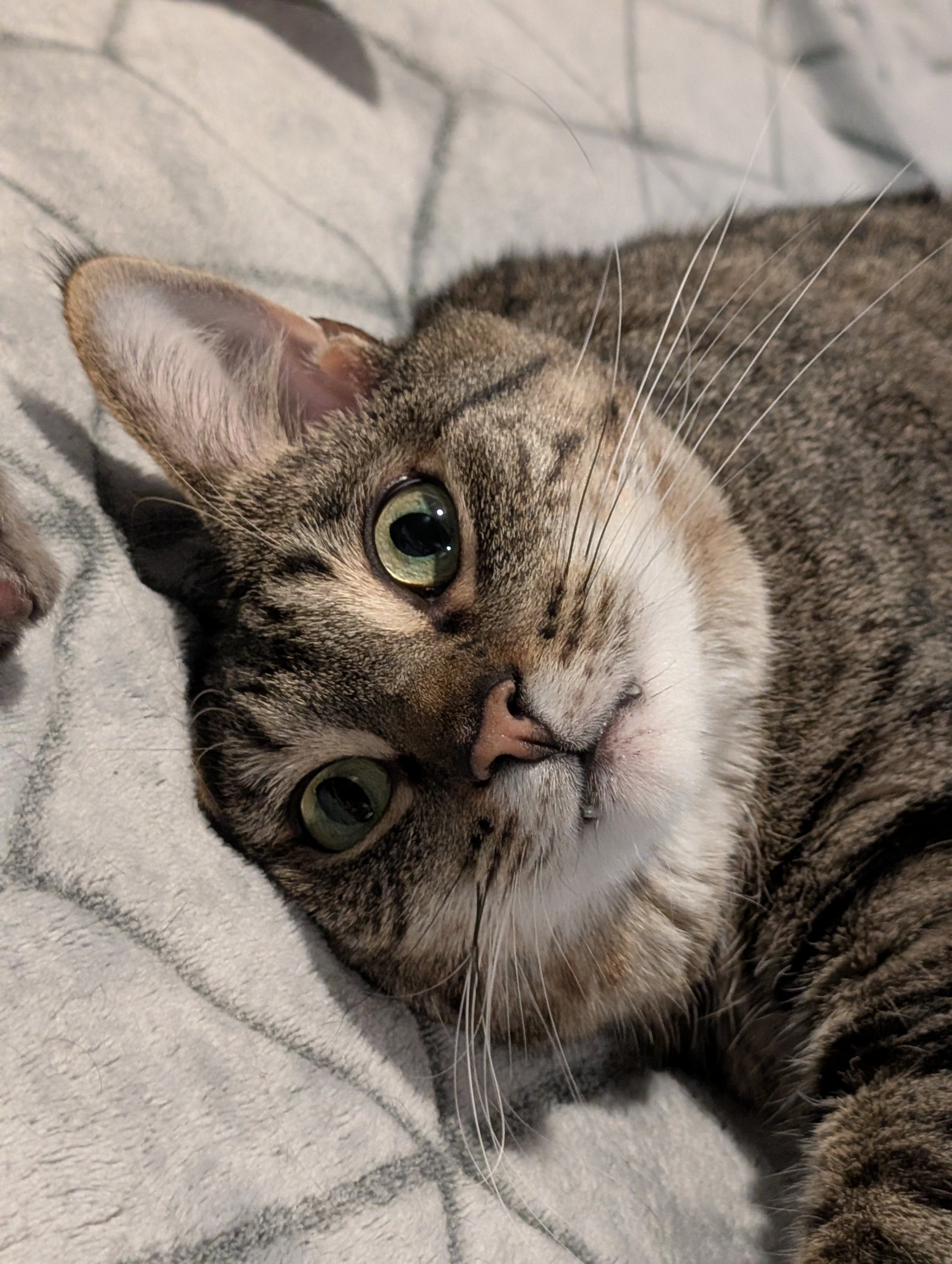 user avatar image for Drachynn