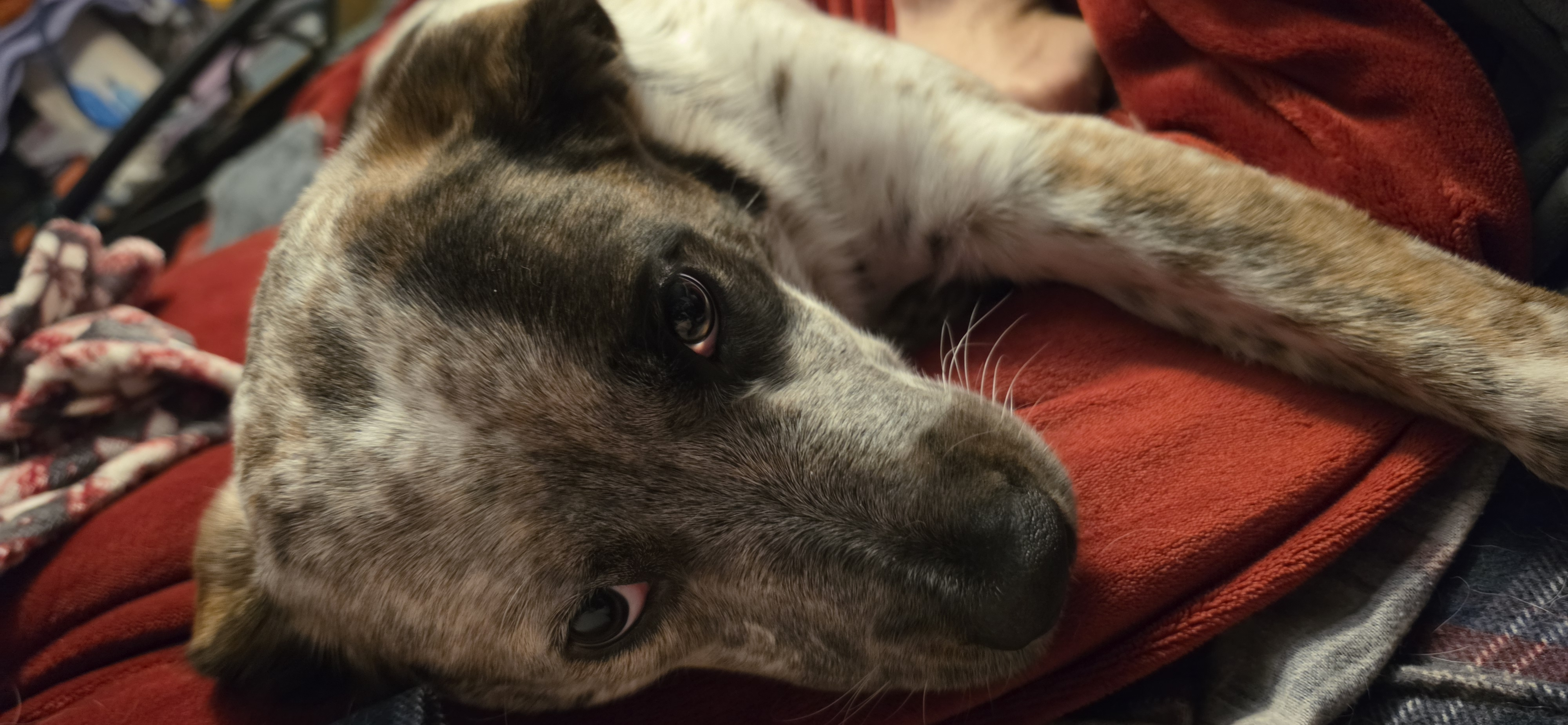 user avatar image for Christine Leroux