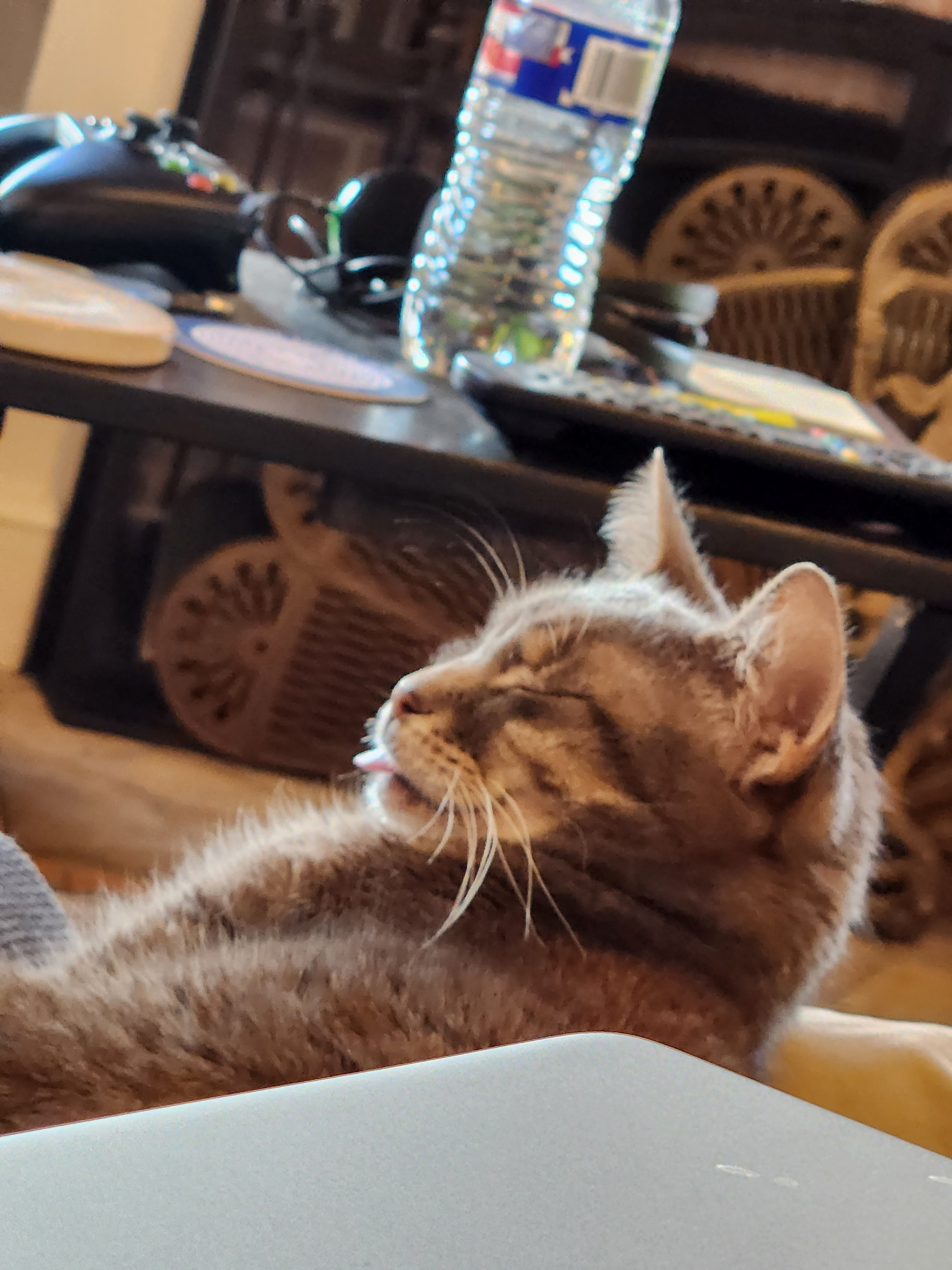 user avatar image for Rachel Plemmons 