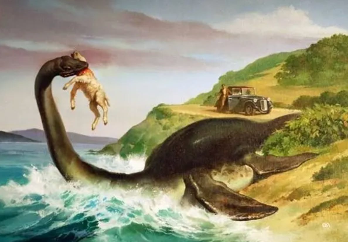 Cadborosaurus