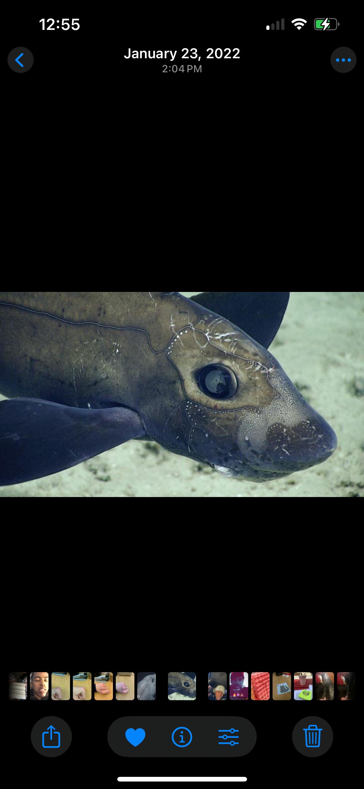 user avatar image for cat