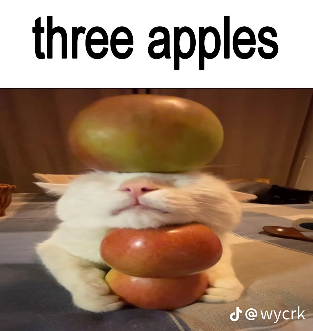 user avatar image for Eve