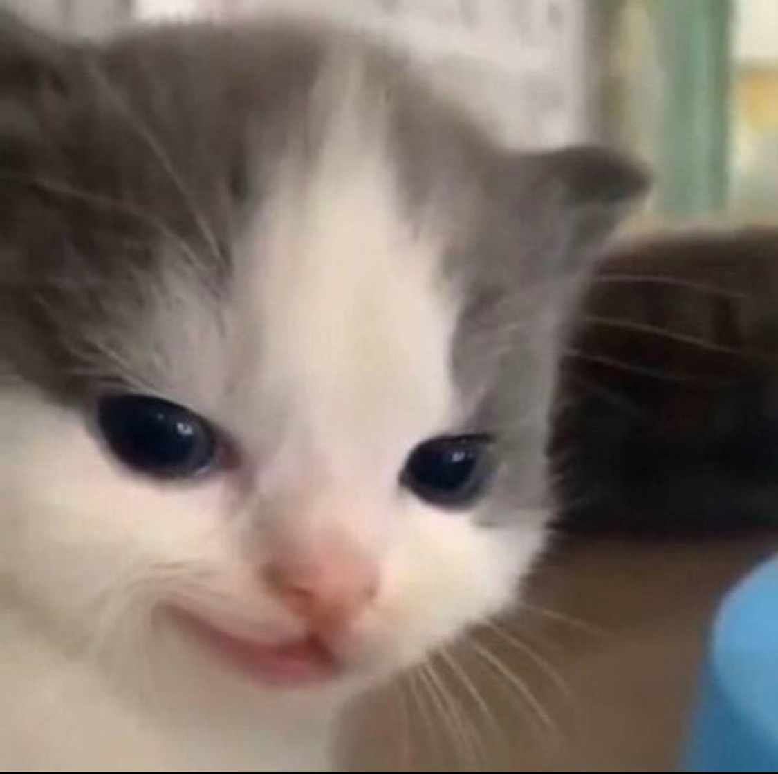 user avatar image for Eden Meyer