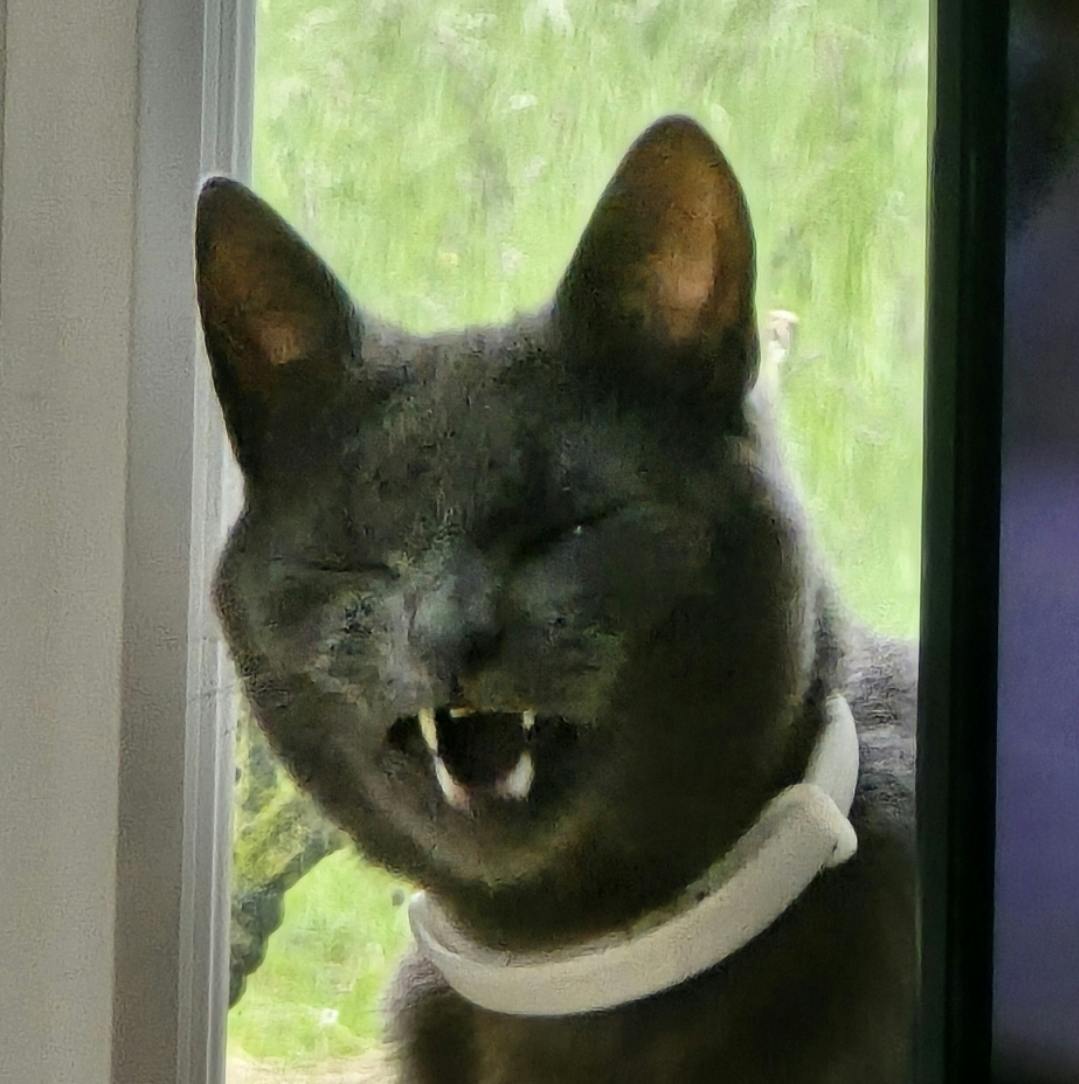 user avatar image for Lucy