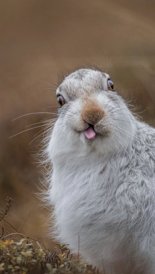 user avatar image for RubixRamblings