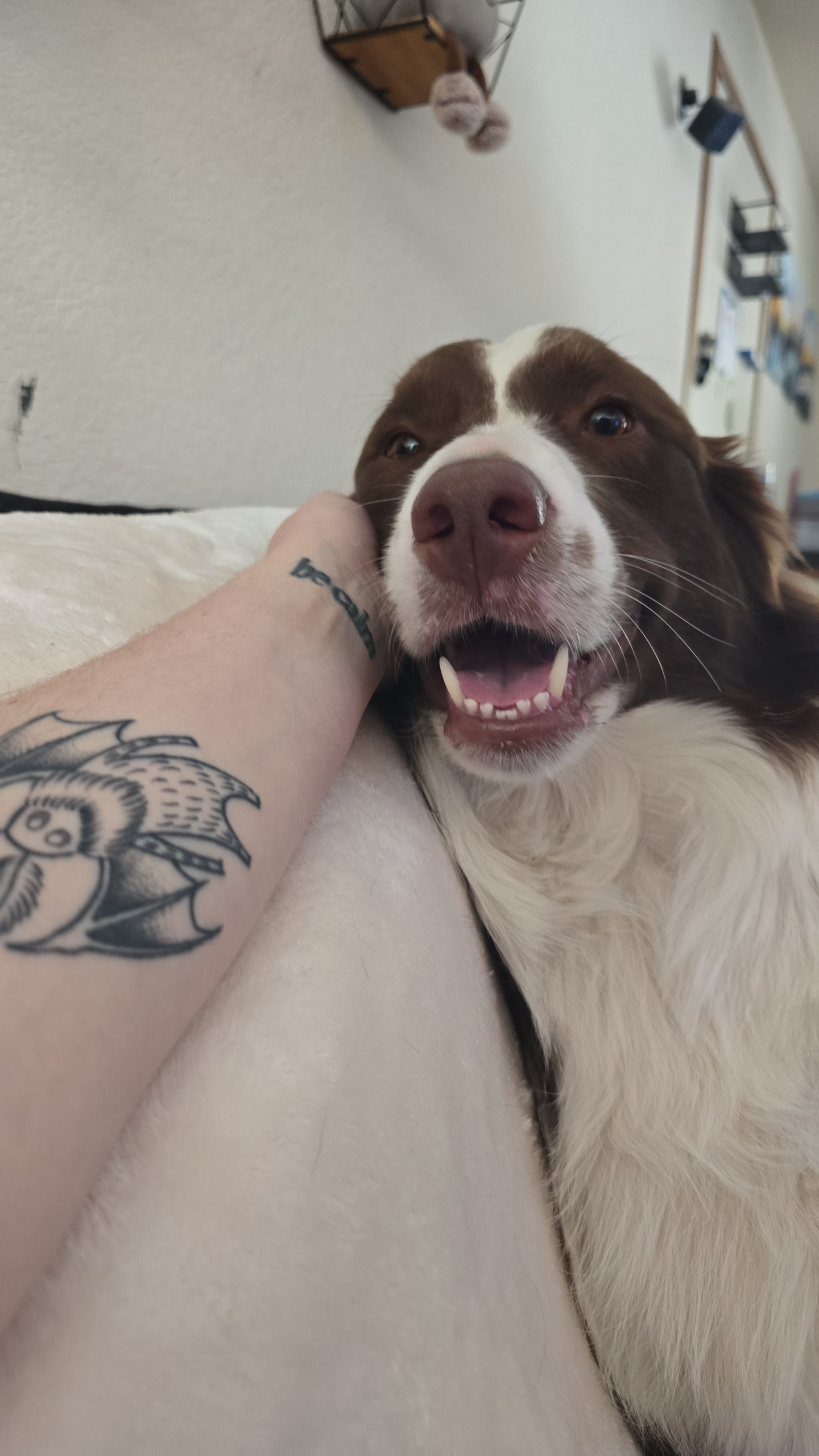 user avatar image for Rose