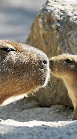 user avatar image for Sarah