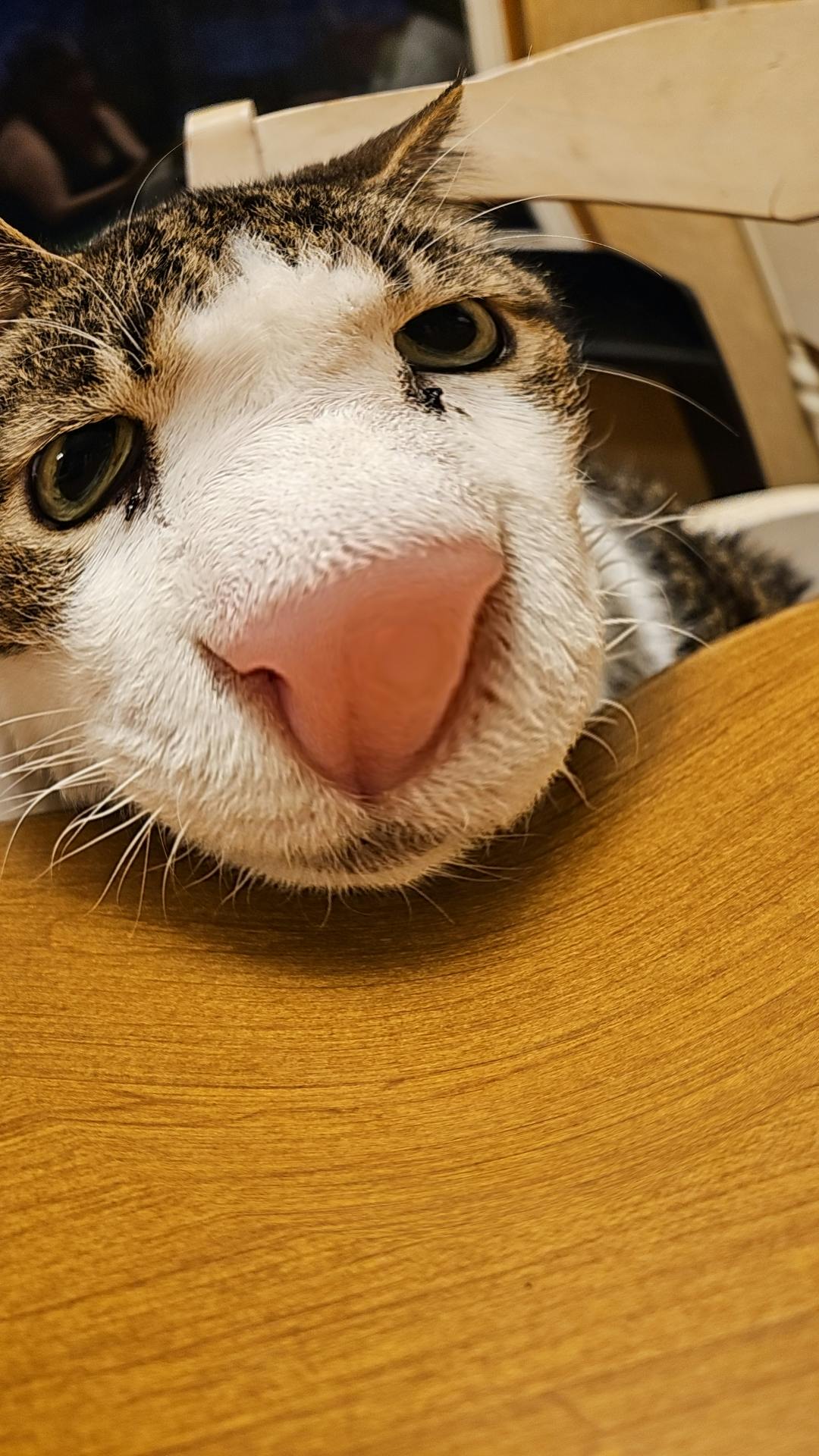 user avatar image for Hannah R