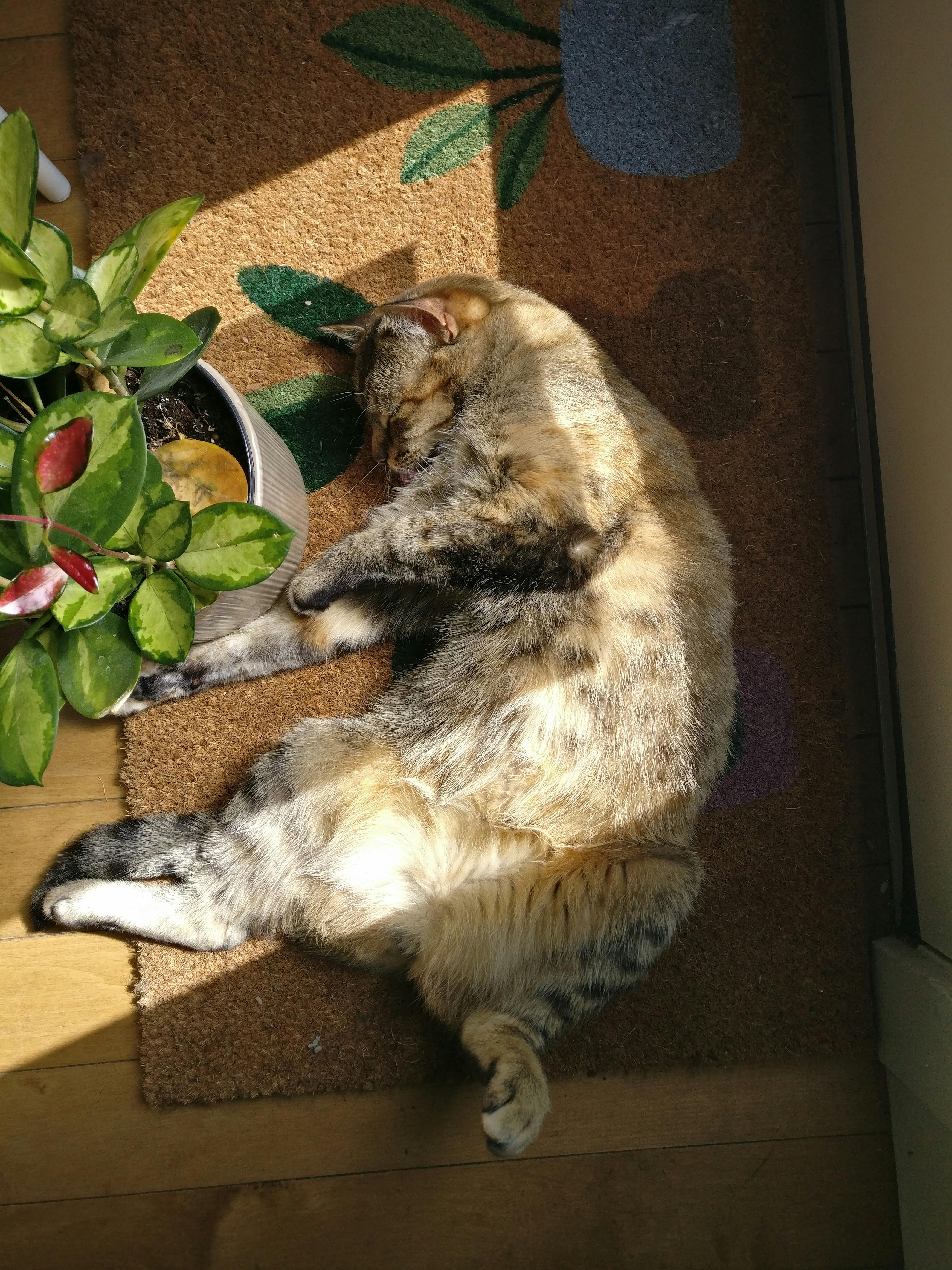 user avatar image for Jean