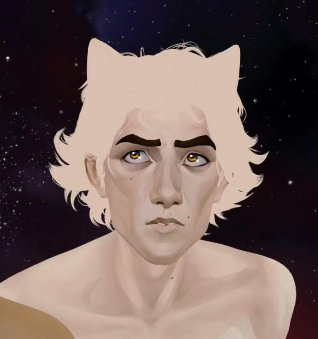 user avatar image for kiwi