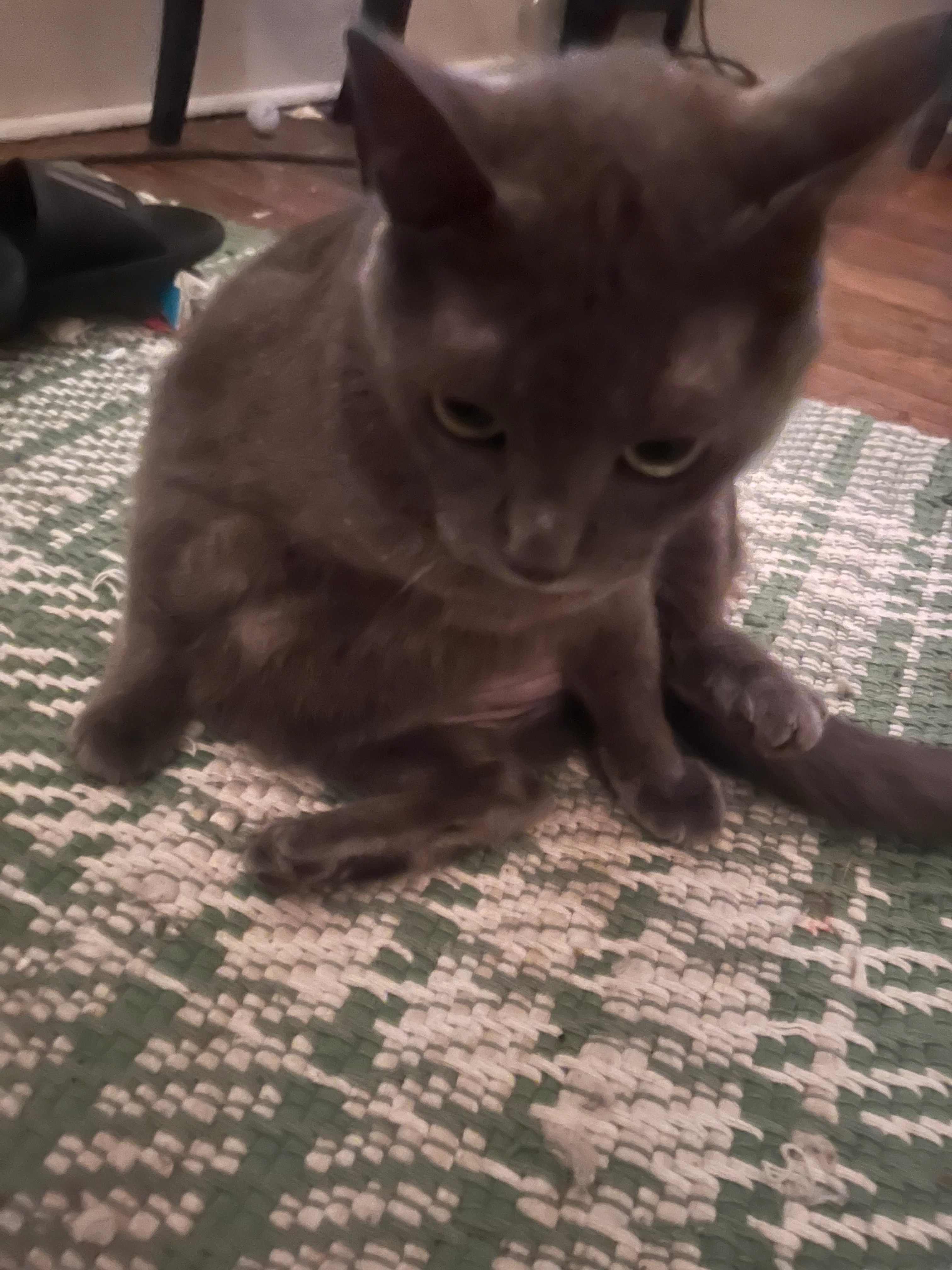 user avatar image for Brubio