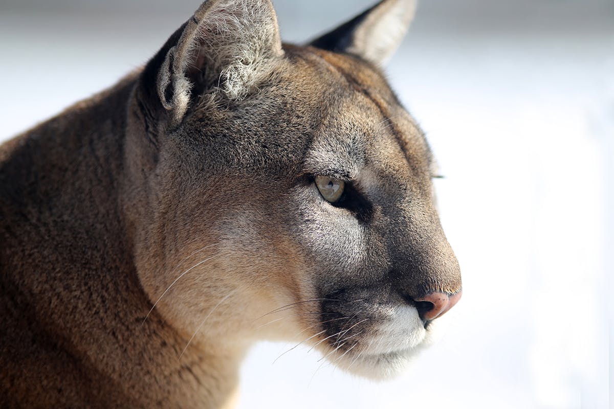 user avatar image for Marie Pelletier-Neault