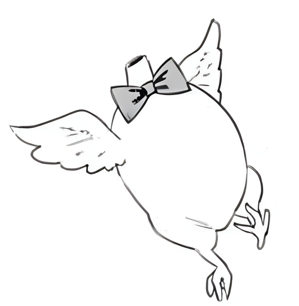 user avatar image for David