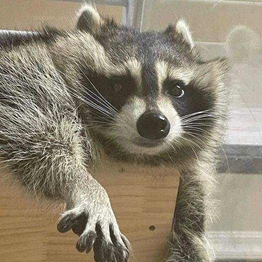 user avatar image for Rachel