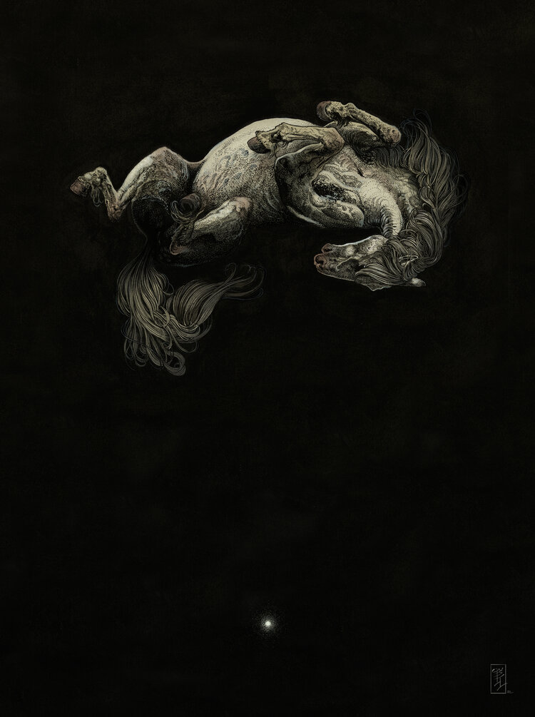 user avatar image for EmmaLVV