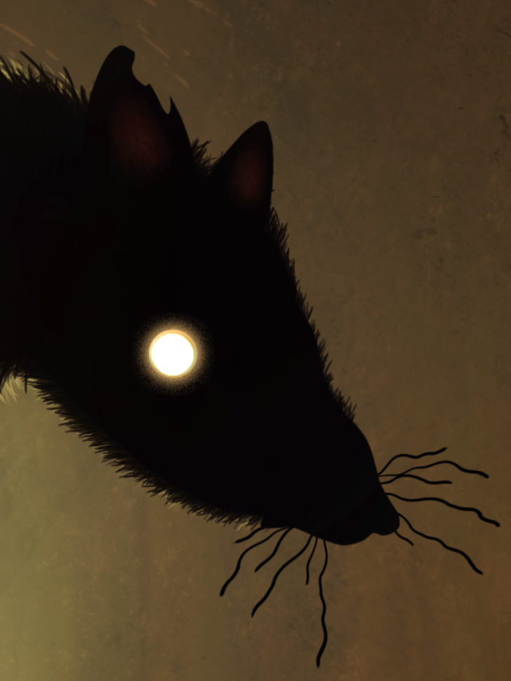 user avatar image for R4T