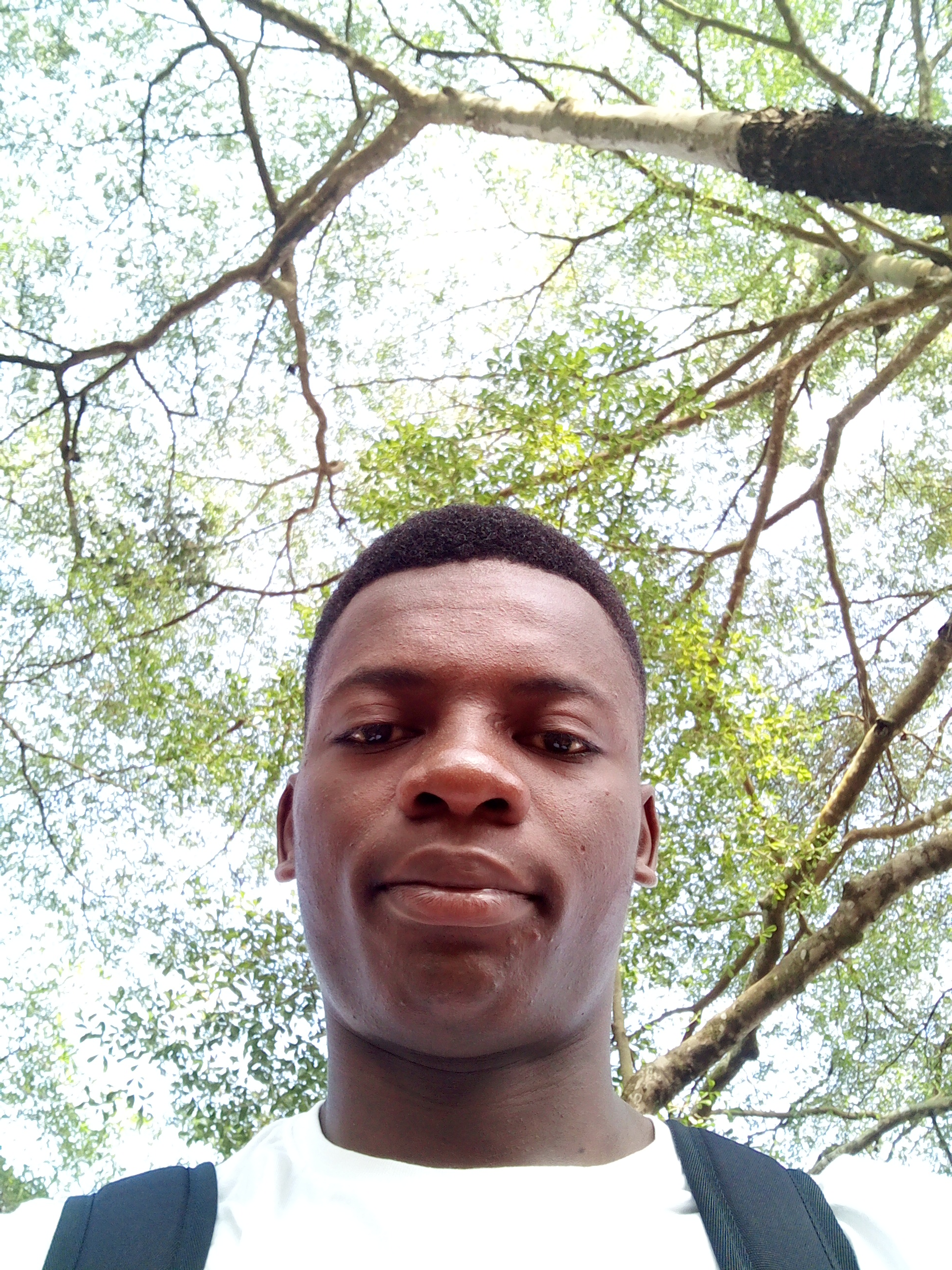 user avatar image for Pascal Lowink