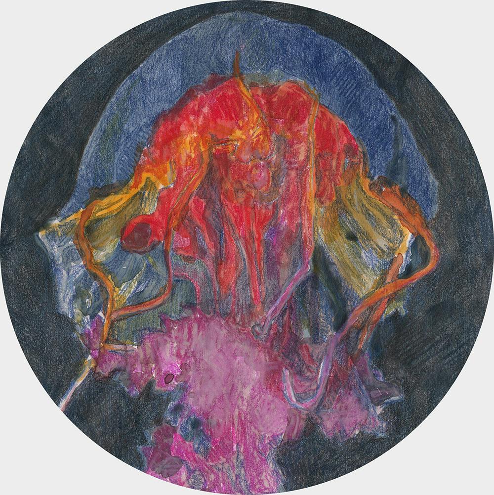 Mauve stinger (pink)