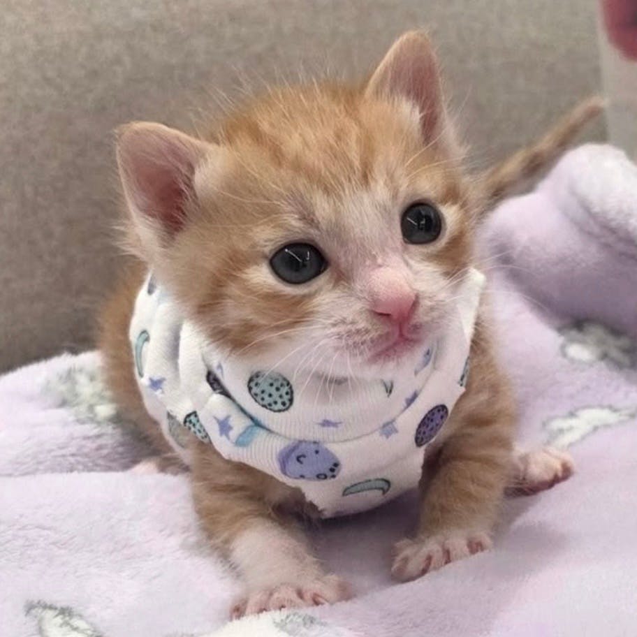 user avatar image for 🖤