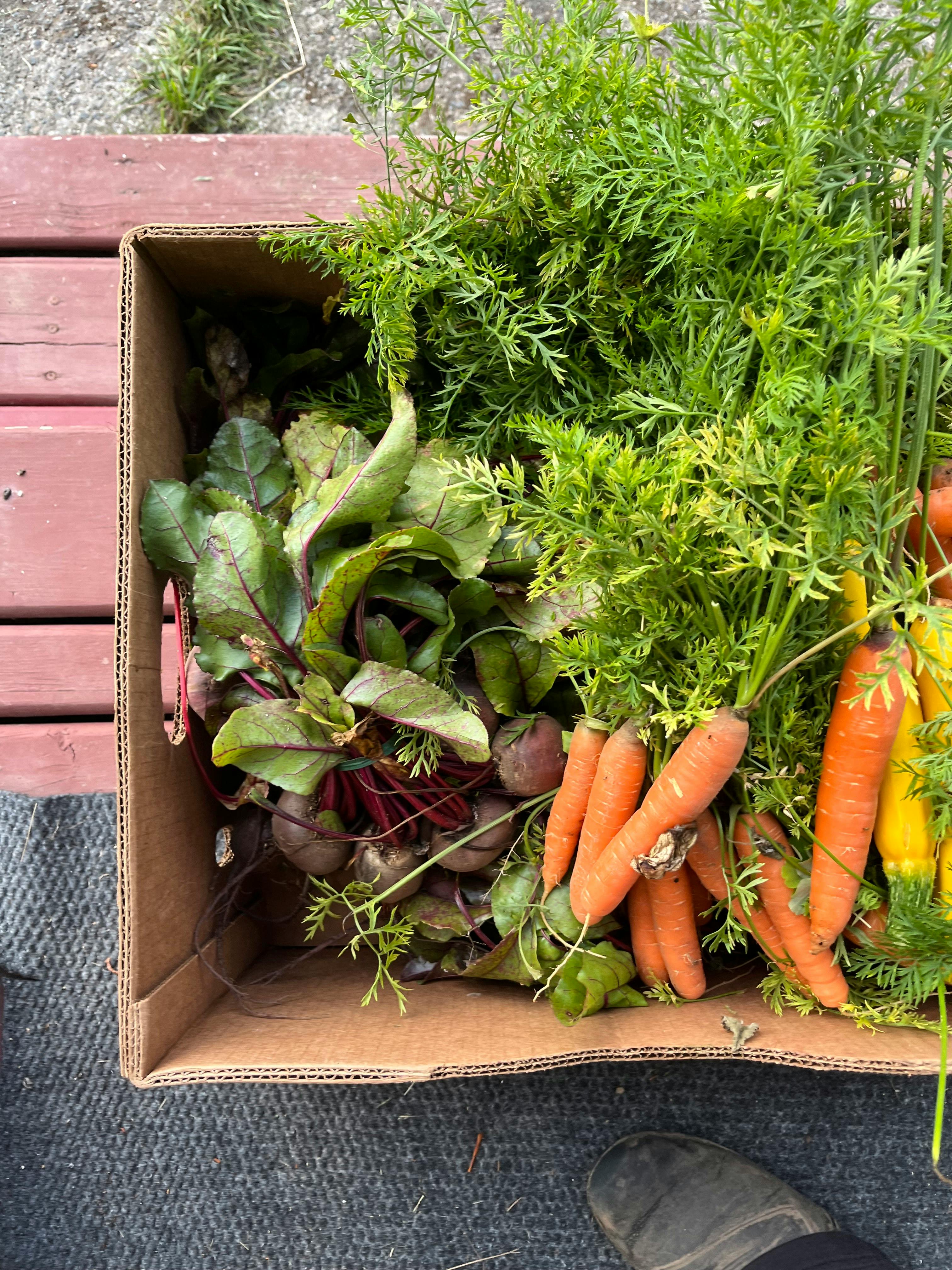 user avatar image for Bridget Stirling