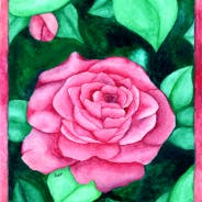 user avatar image for Beverly Adams