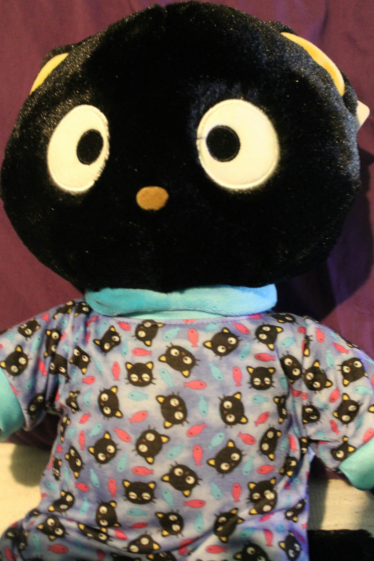 user avatar image for Look-turtles