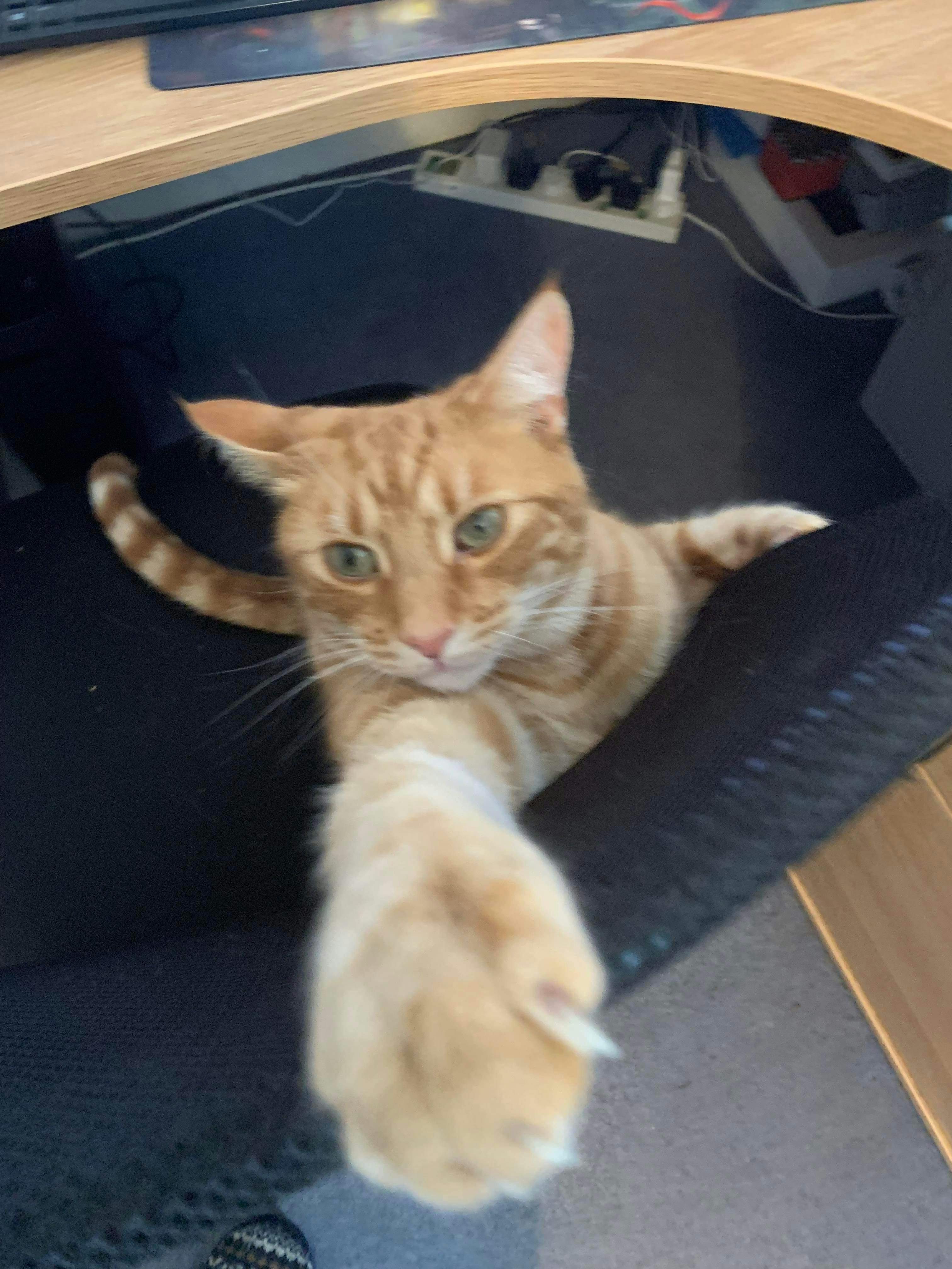 user avatar image for Rob