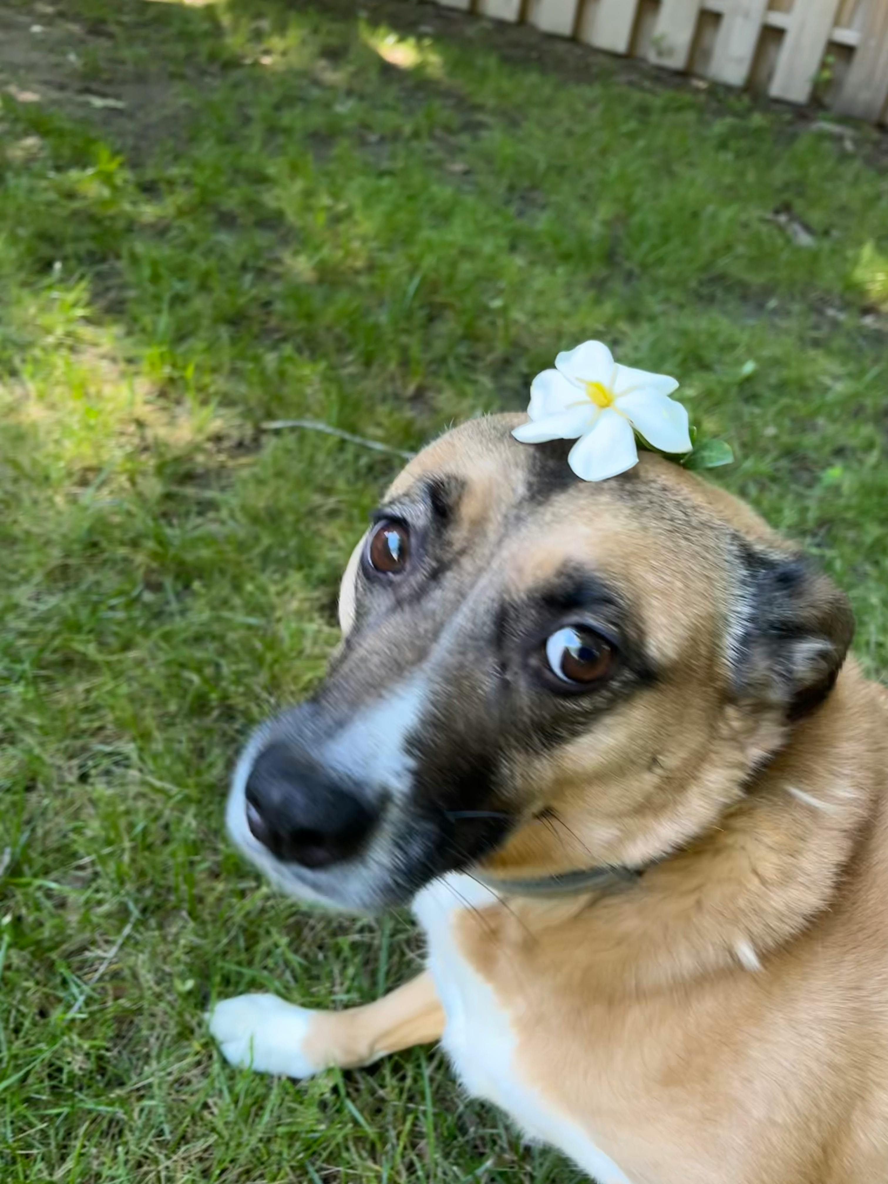 user avatar image for Jenn