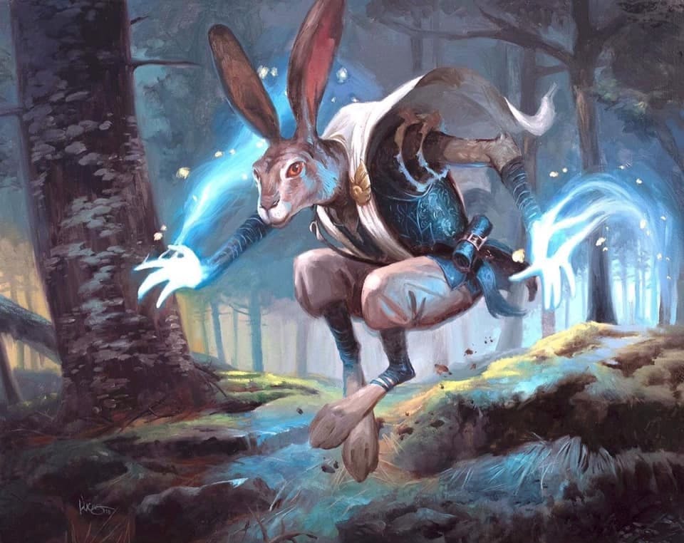 user avatar image for Chris Faviell