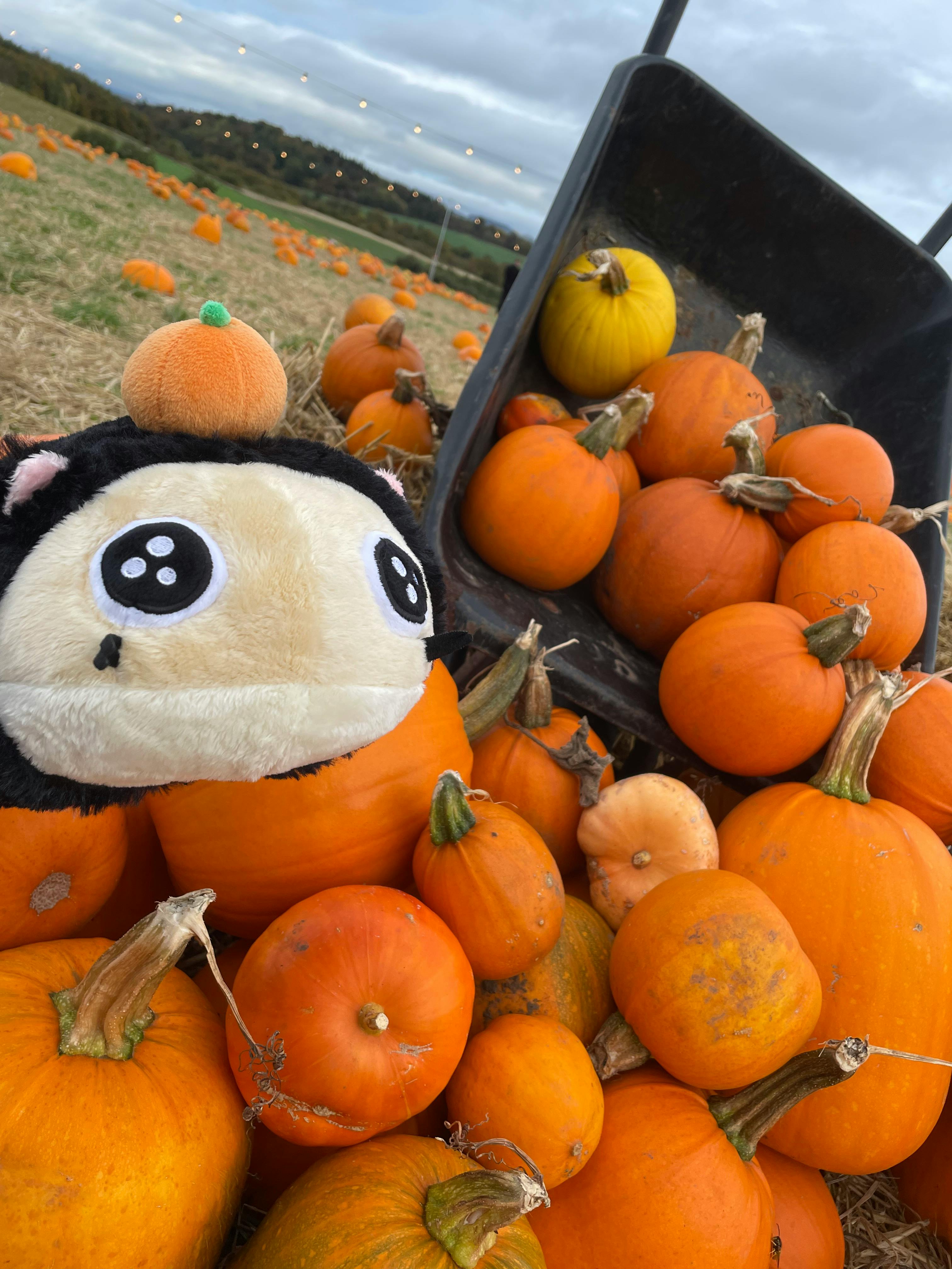 user avatar image for Rachel Graham