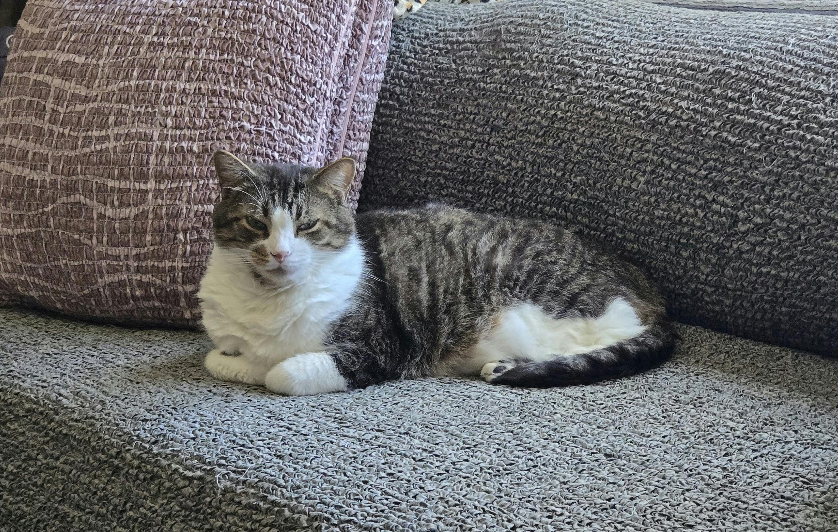 user avatar image for Melanie