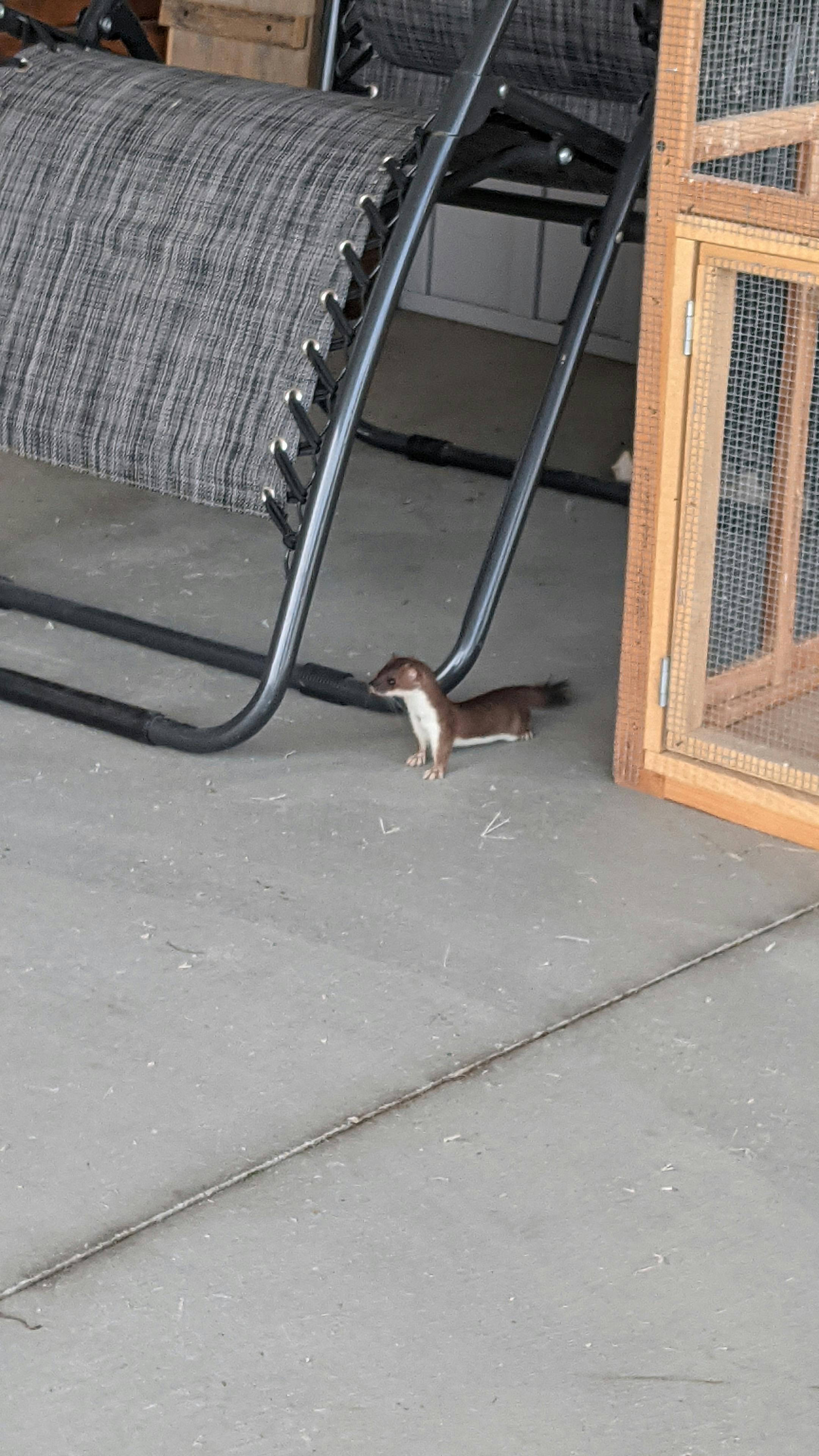 user avatar image for Nipzie