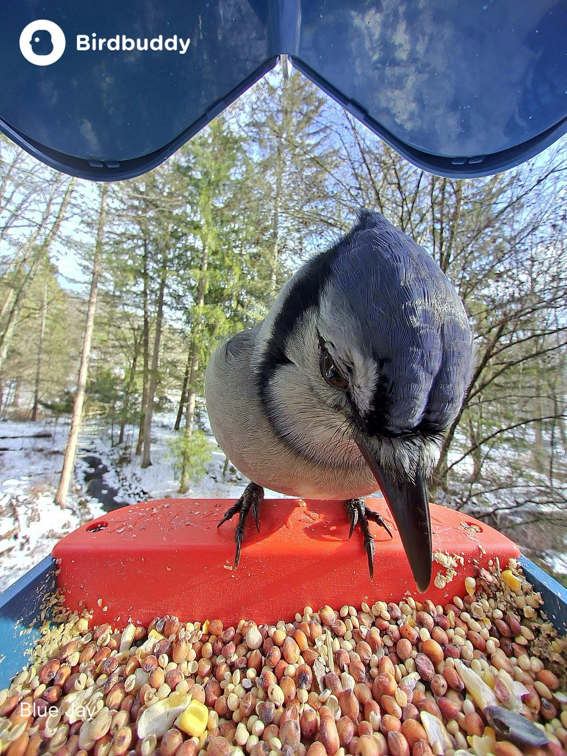 user avatar image for JStew