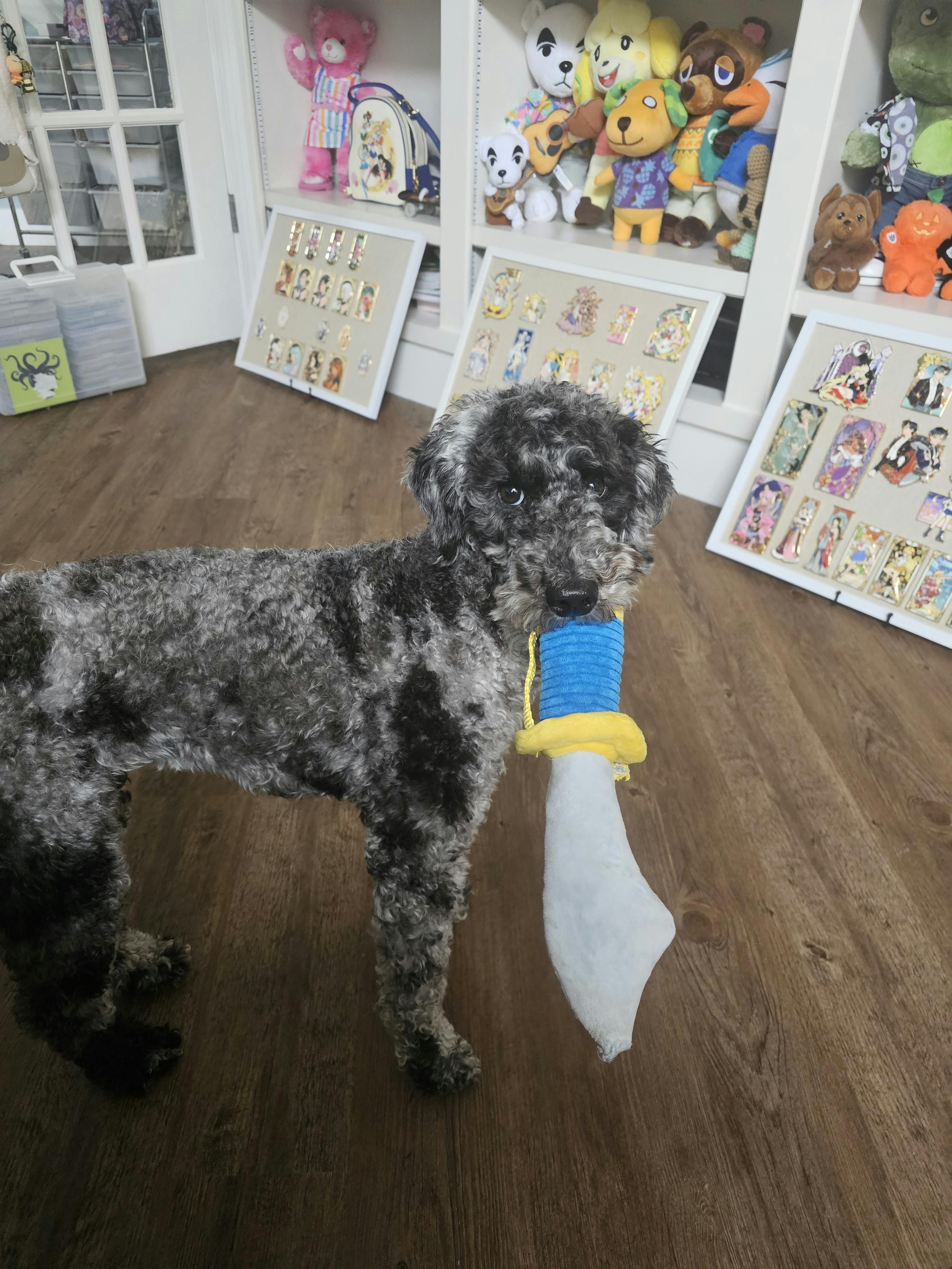 user avatar image for Brandy