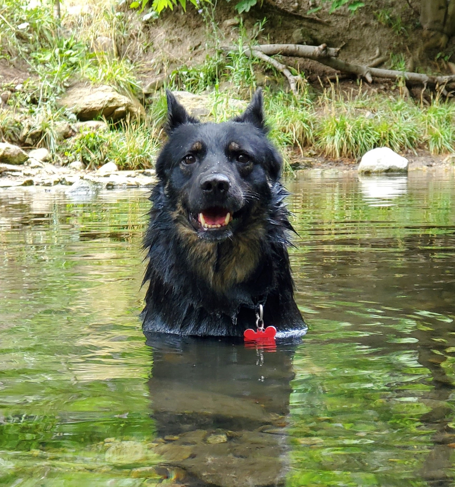 user avatar image for Patrycja Zuk