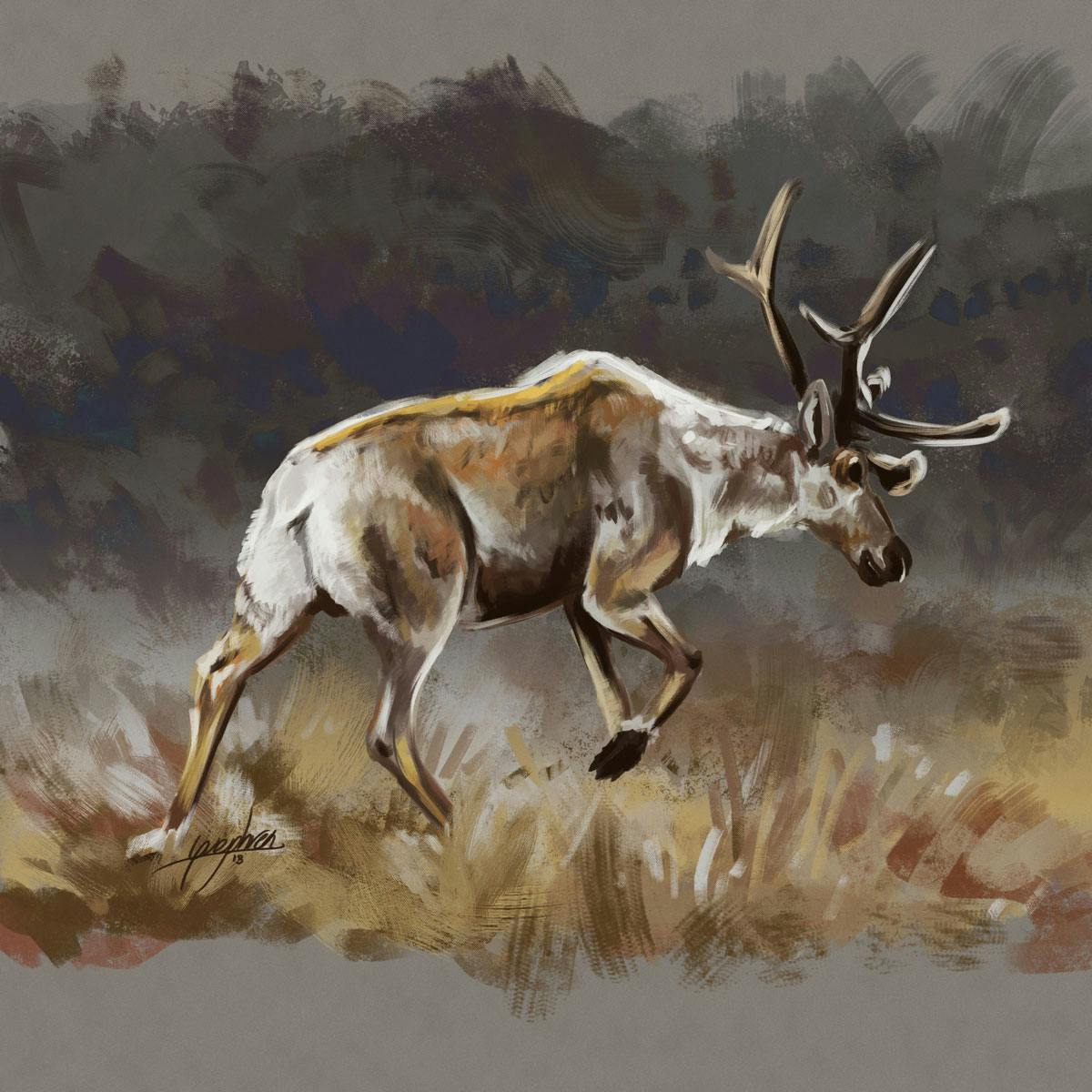 user avatar image for Guephren