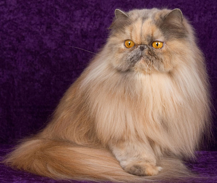 user avatar image for Monty