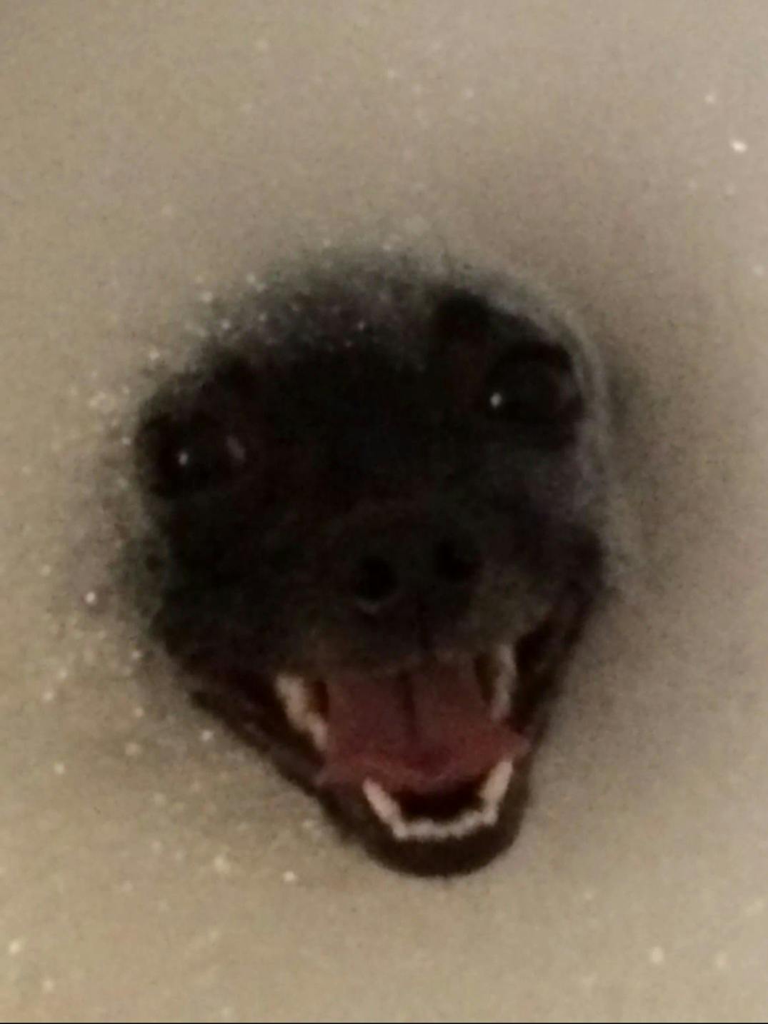 user avatar image for Alex