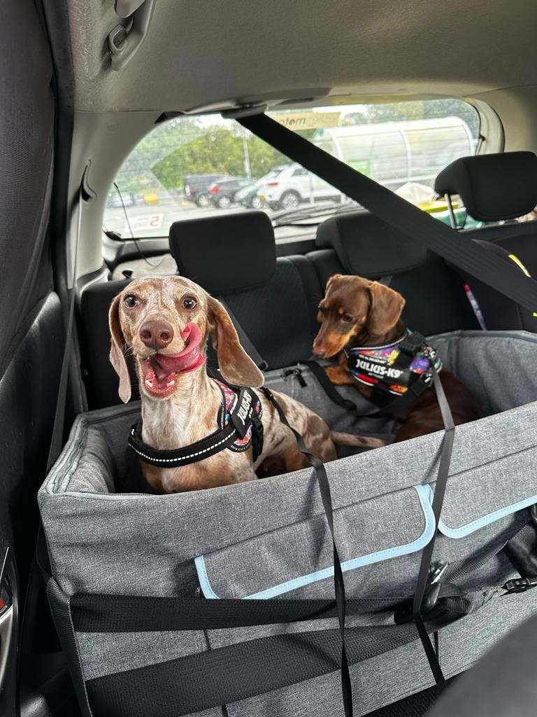 user avatar image for Acantha