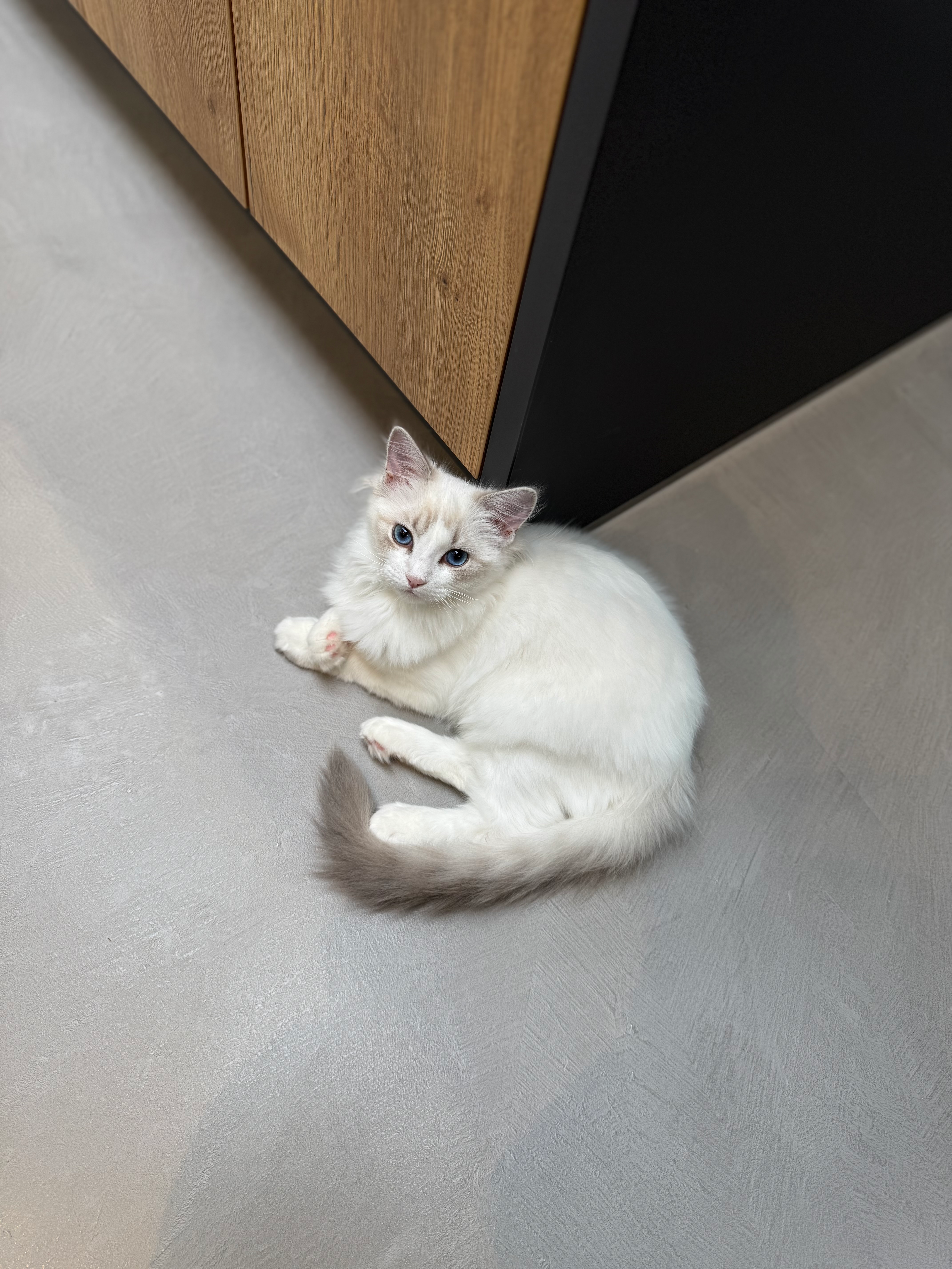 user avatar image for DangerDom