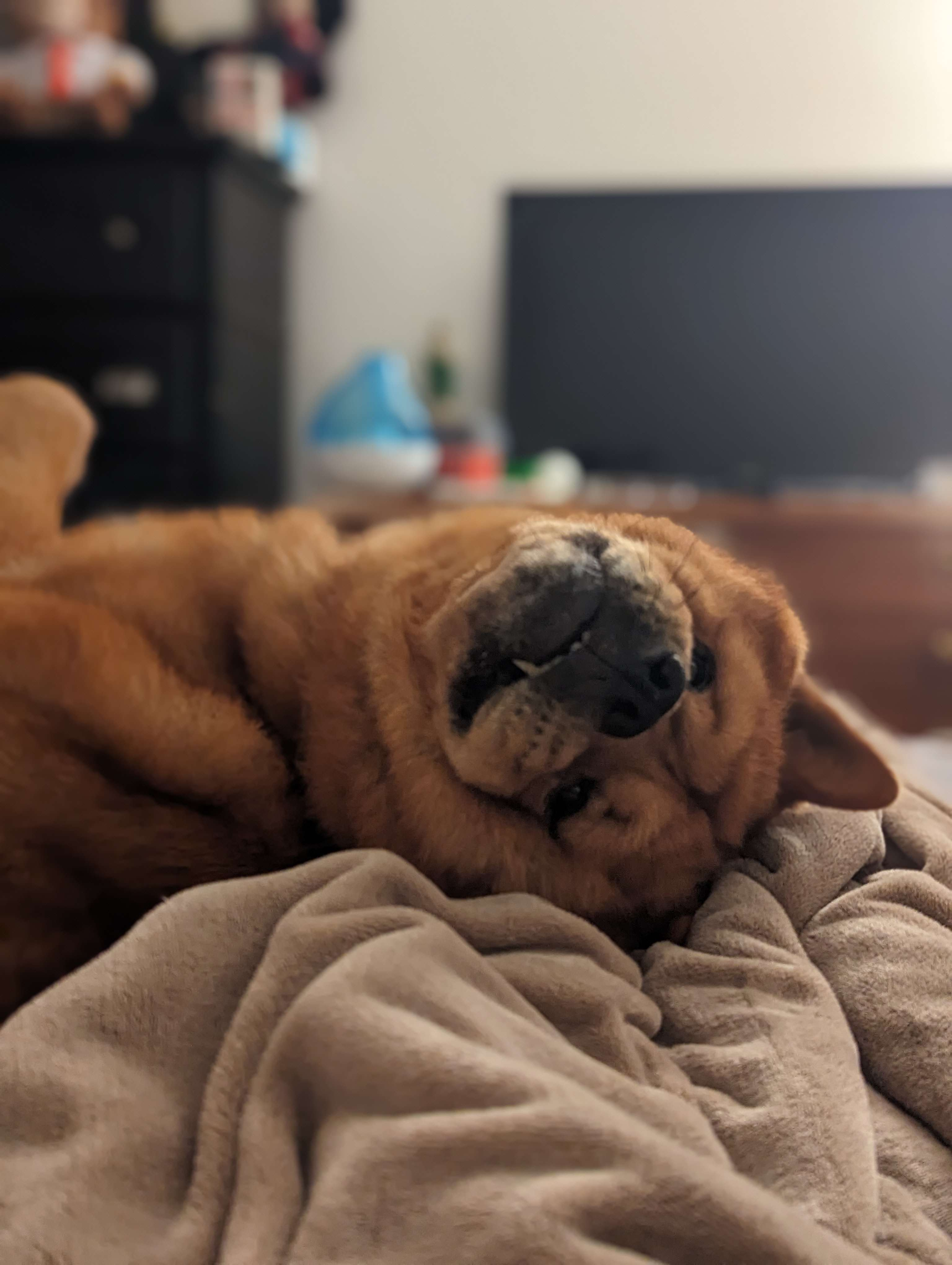 user avatar image for Theodore Griswald Bearington