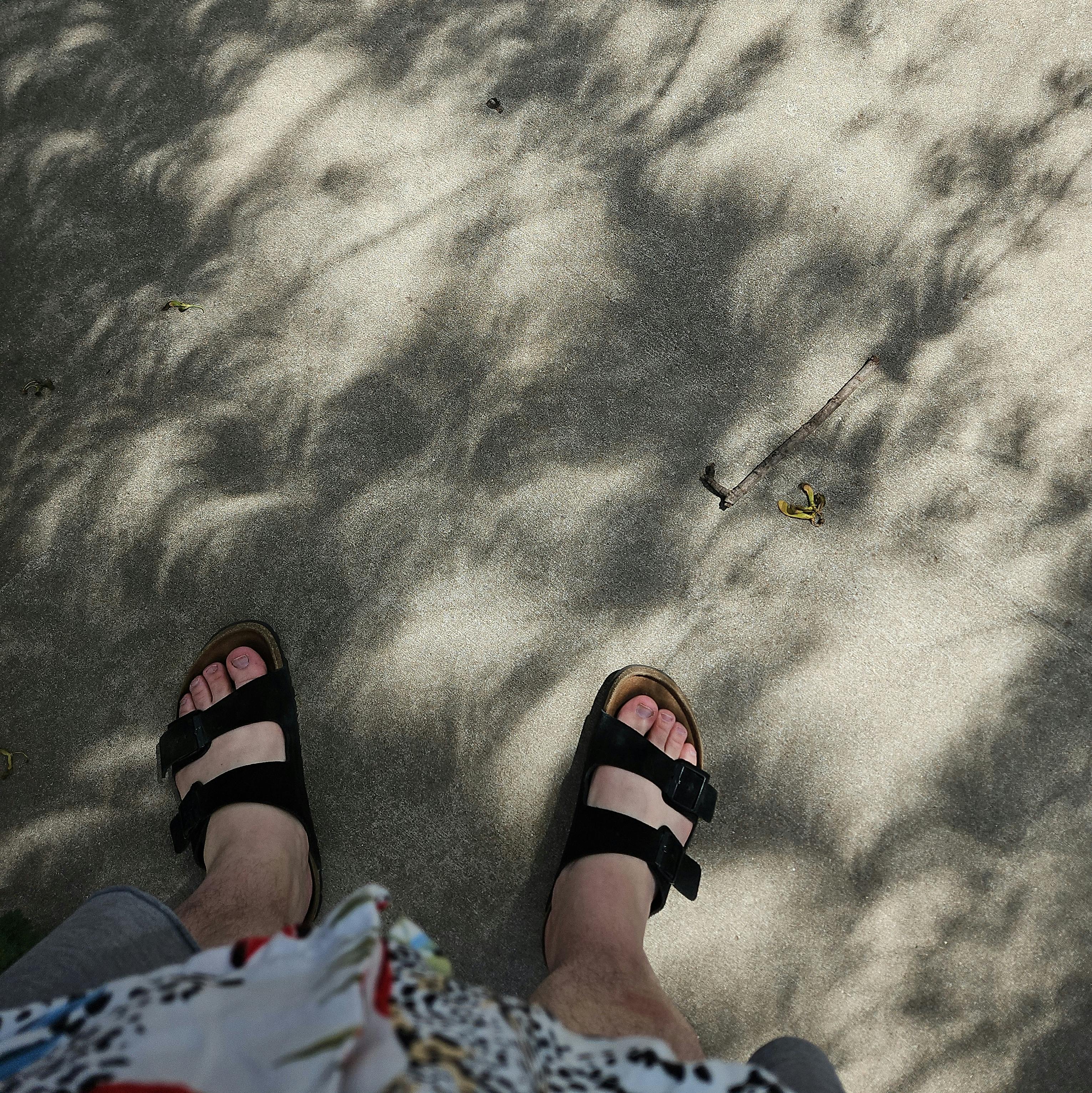 user avatar image for TJ