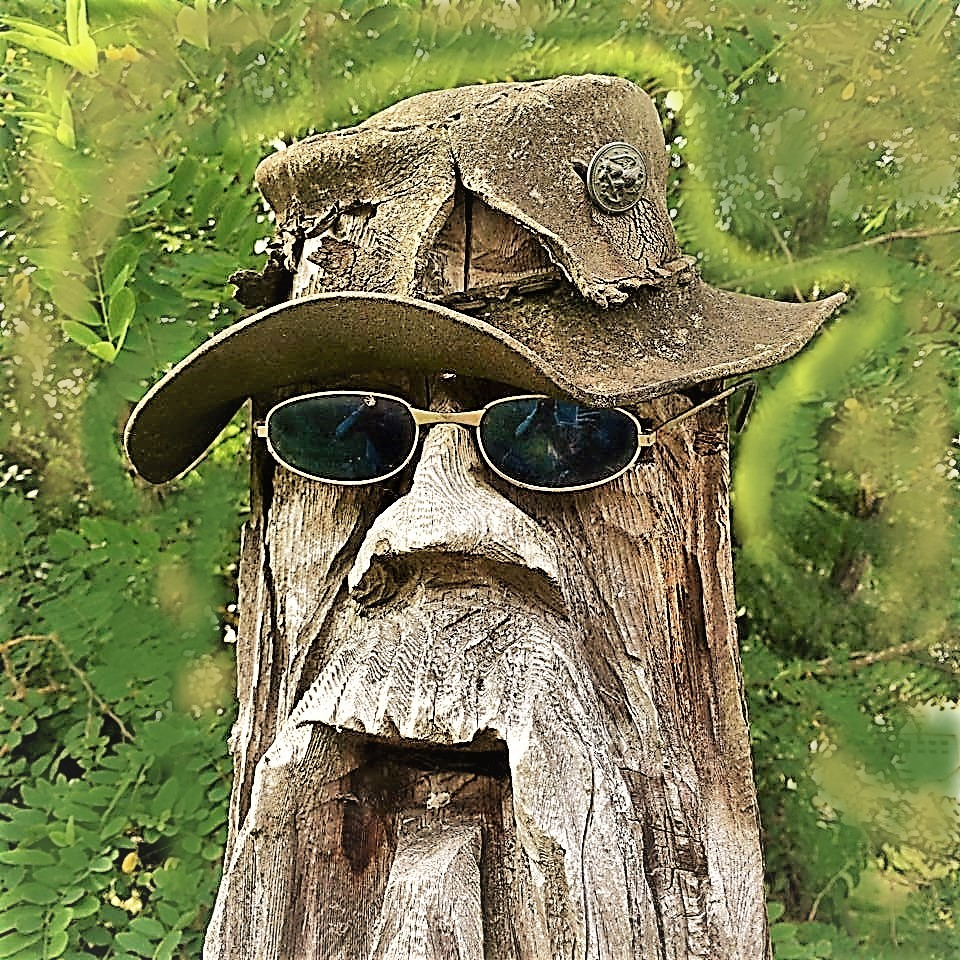 user avatar image for Schwa