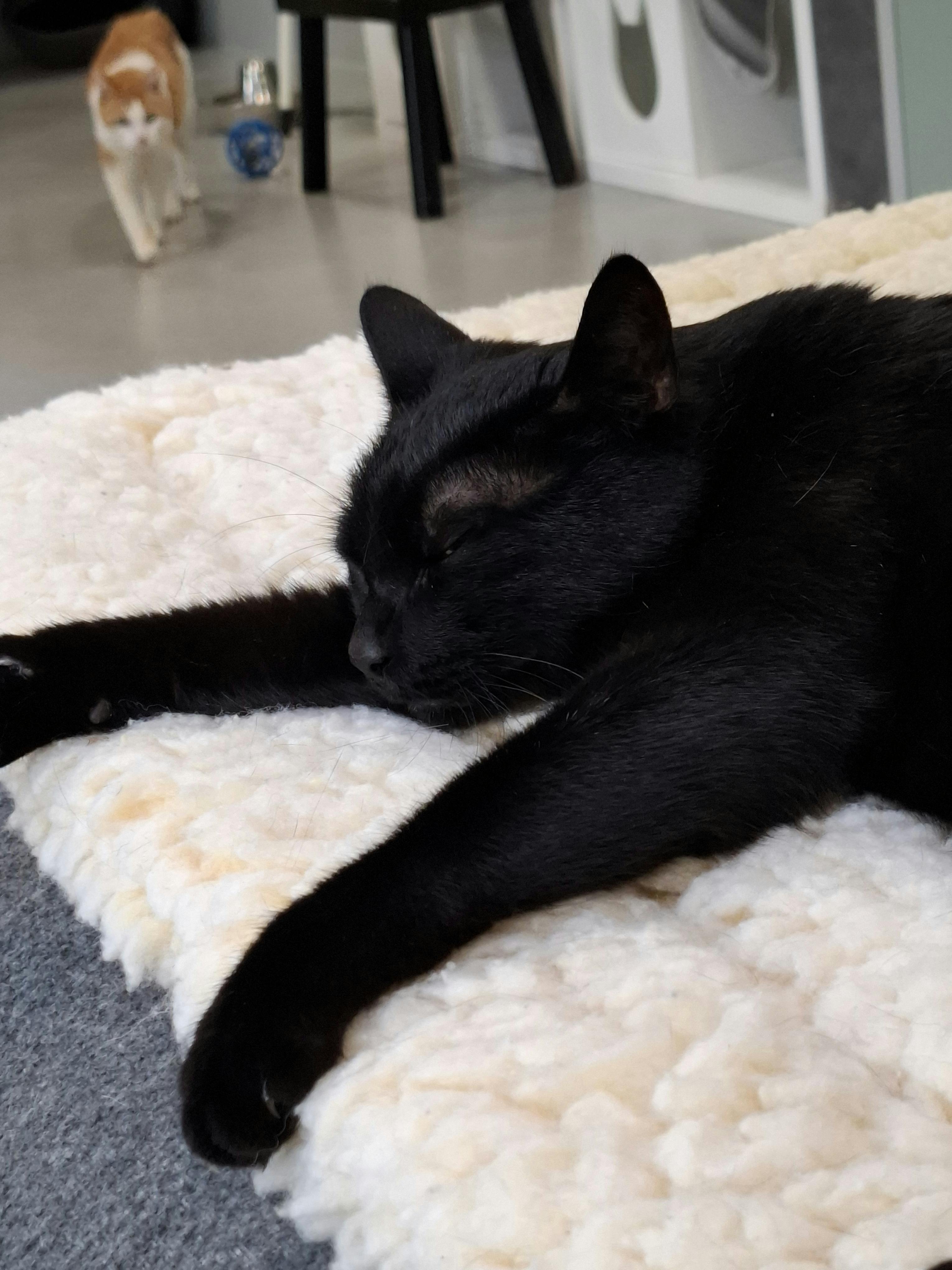 user avatar image for Petra