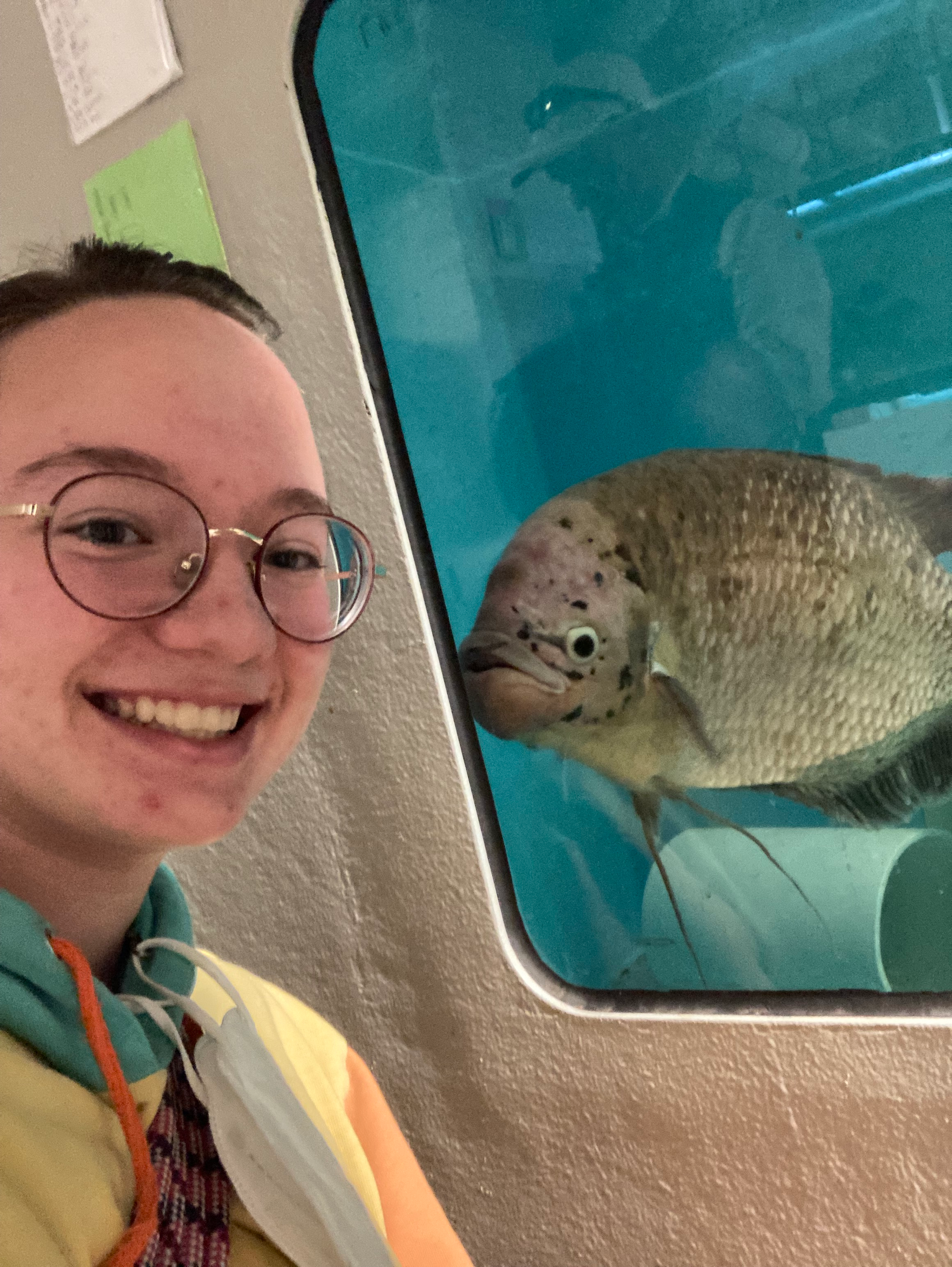 user avatar image for Blueistired